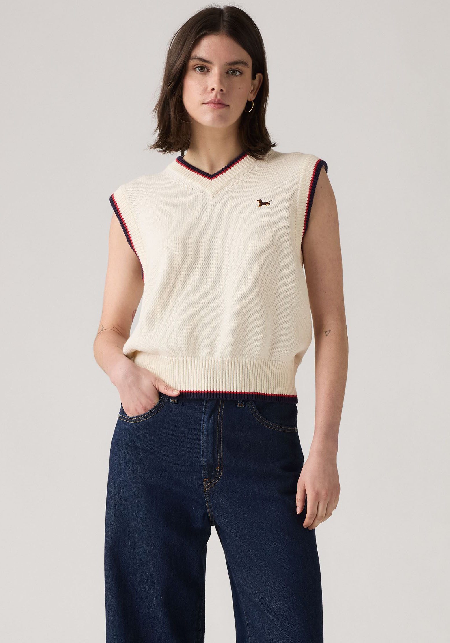 Levi's® Pullunder CHARLIE VNECK VES Feinstrick mit Wollanteil günstig online kaufen