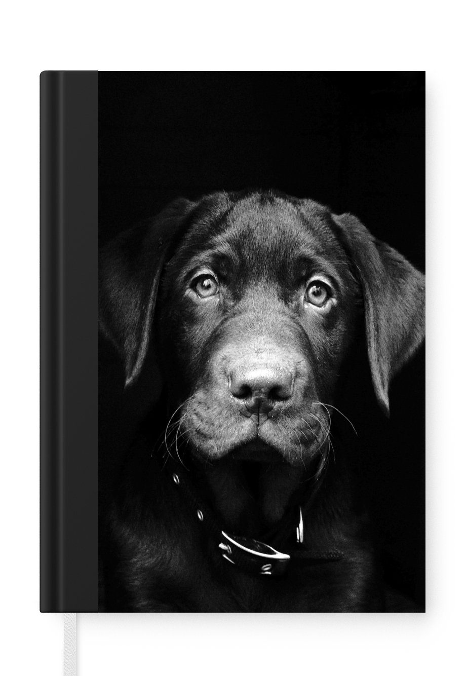 MuchoWow Notizbuch Tierprofil Hund in schwarz und weiß, Journal, Merkzettel, Tagebuch, Notizheft, A5, 98 Seiten, Haushaltsbuch