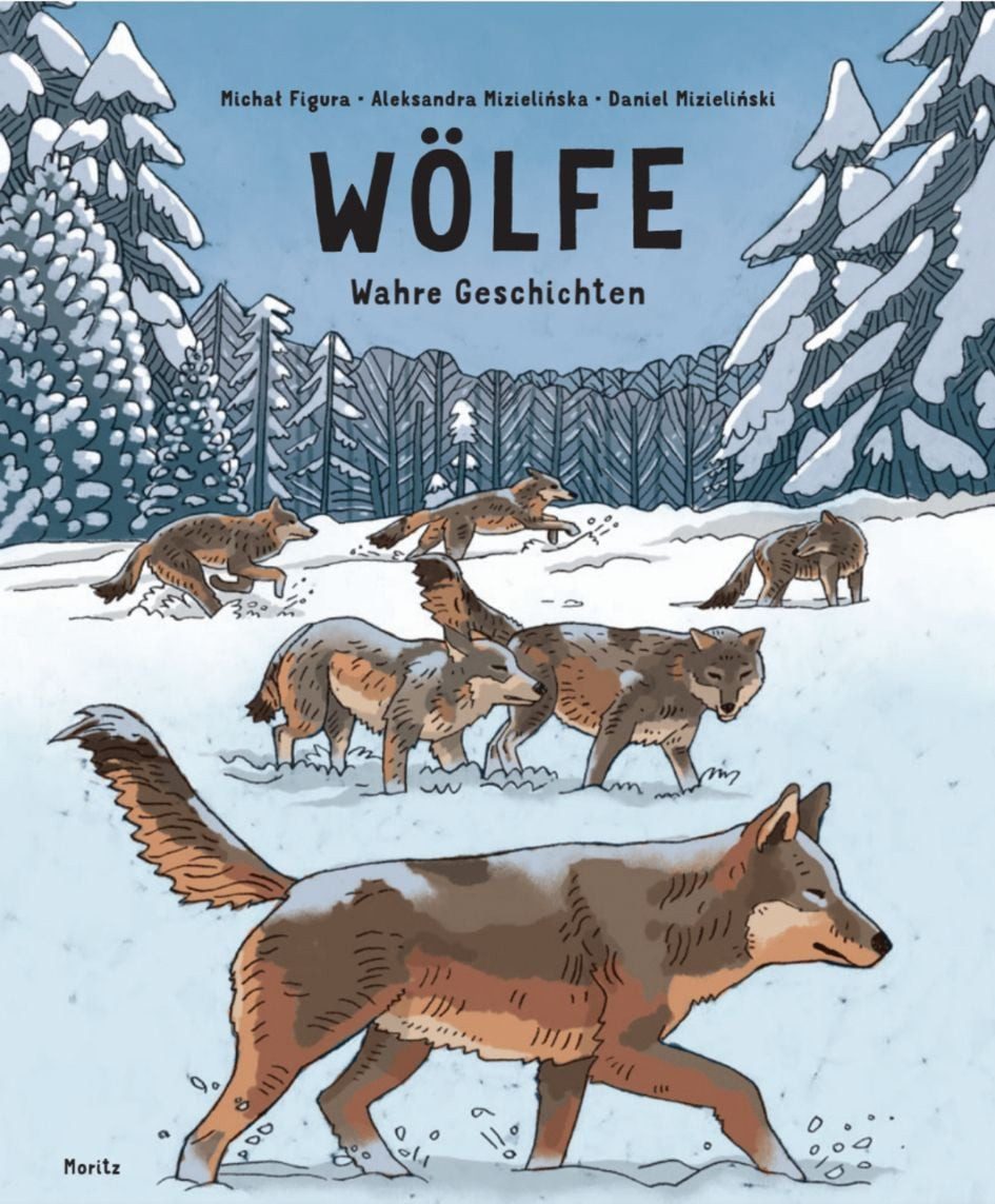 Kinderbuch Wölfe - Wahre Geschichten Michal Figura, Aleksandra Mizielinska, Daniel Mizielinski