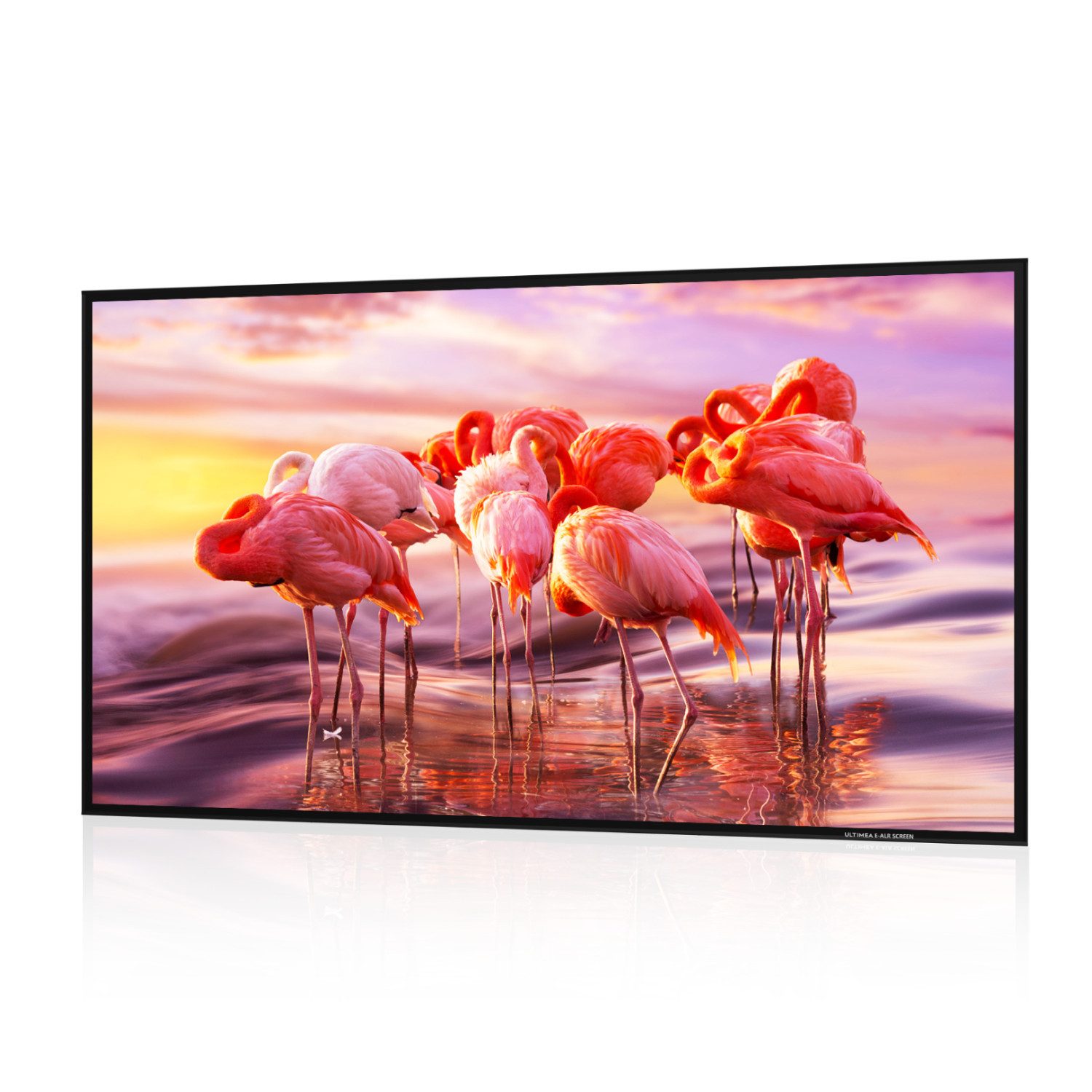 Ultimea E-ALR Beamer Leinwand 100 Zoll, 80% ALR Projektionsleinwand Faltrahmenleinwand (2.0 Gain-Wert, 4k HD Faltbar Filmleinwand, Heimkino Wand Leinwand)