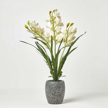 Kunstorchidee Künstliche weiß-grüne Orchidee im dunkelgrauen Zement-Topf, 82 cm, Homescapes, Höhe 82 cm