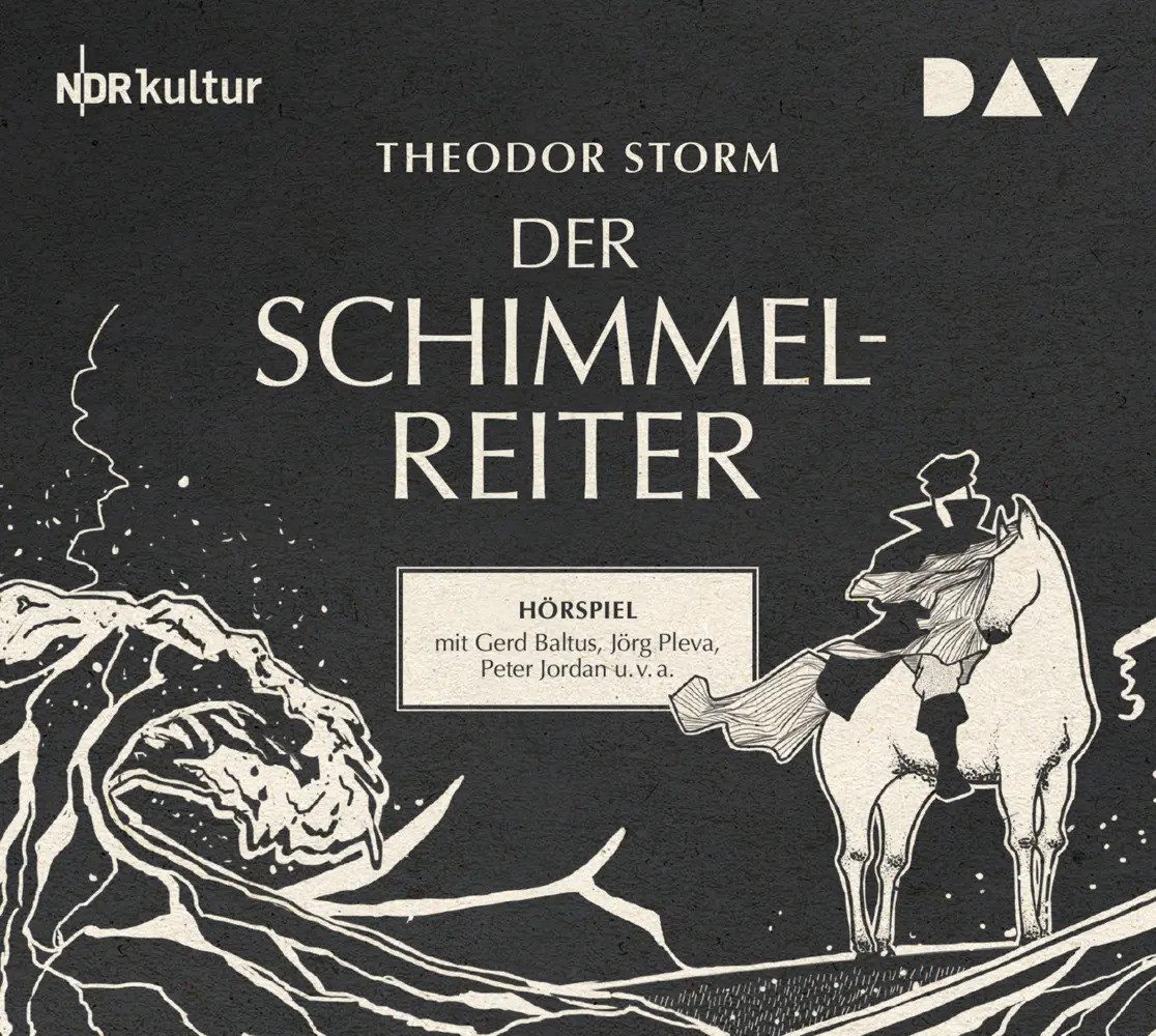 Hörspiel Der Schimmelreiter, 1 Audio-CD
