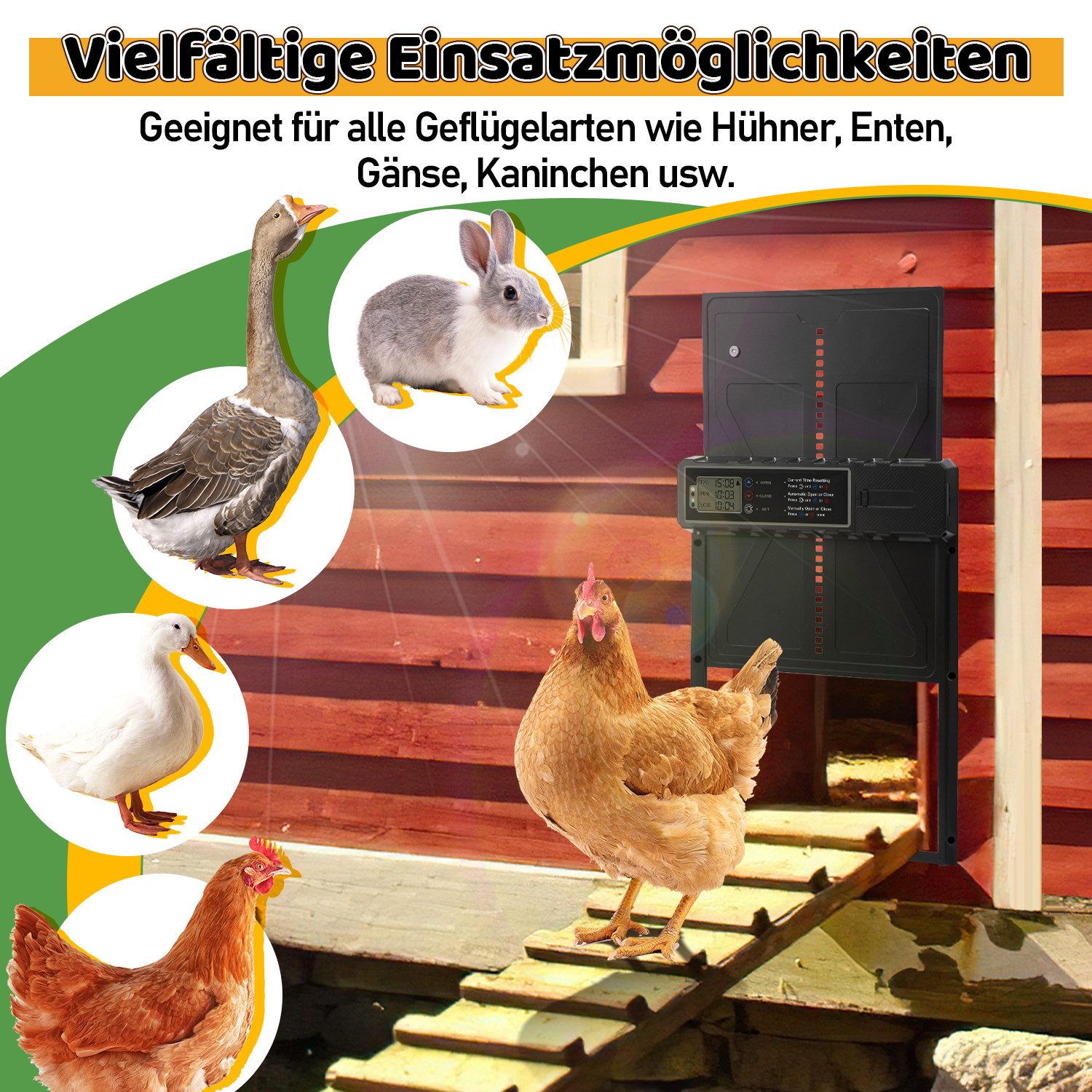 Clanmacy Hühnerstall Automatische Hühnerklappe Solar Timer-Steuerung, IPX3, 36x27.5cm