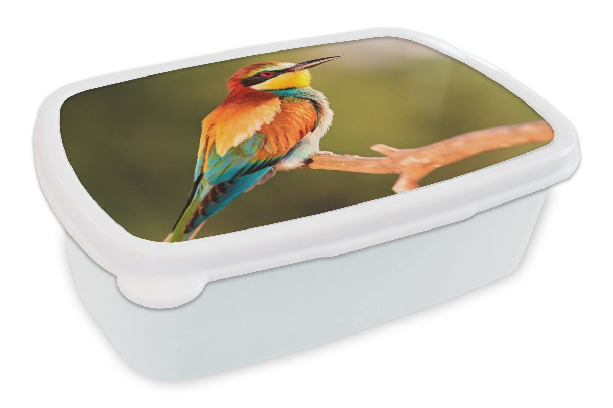 MuchoWow Lunchbox Vögel - Bienenfresser - Regenbogen - Tiere, Kunststoff, (2-tlg), Brotbox für Kinder und Erwachsene, Brotdose, für Jungs und Mädchen weiß
