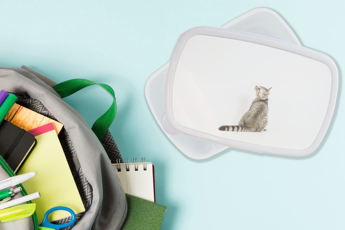 MuchoWow Lunchbox Brotbox Brotdose, Fell, Katze Jungs Kunststoff, - Mädchen für Haustiere (2-tlg), - Erwachsene, und weiß für und Kinder