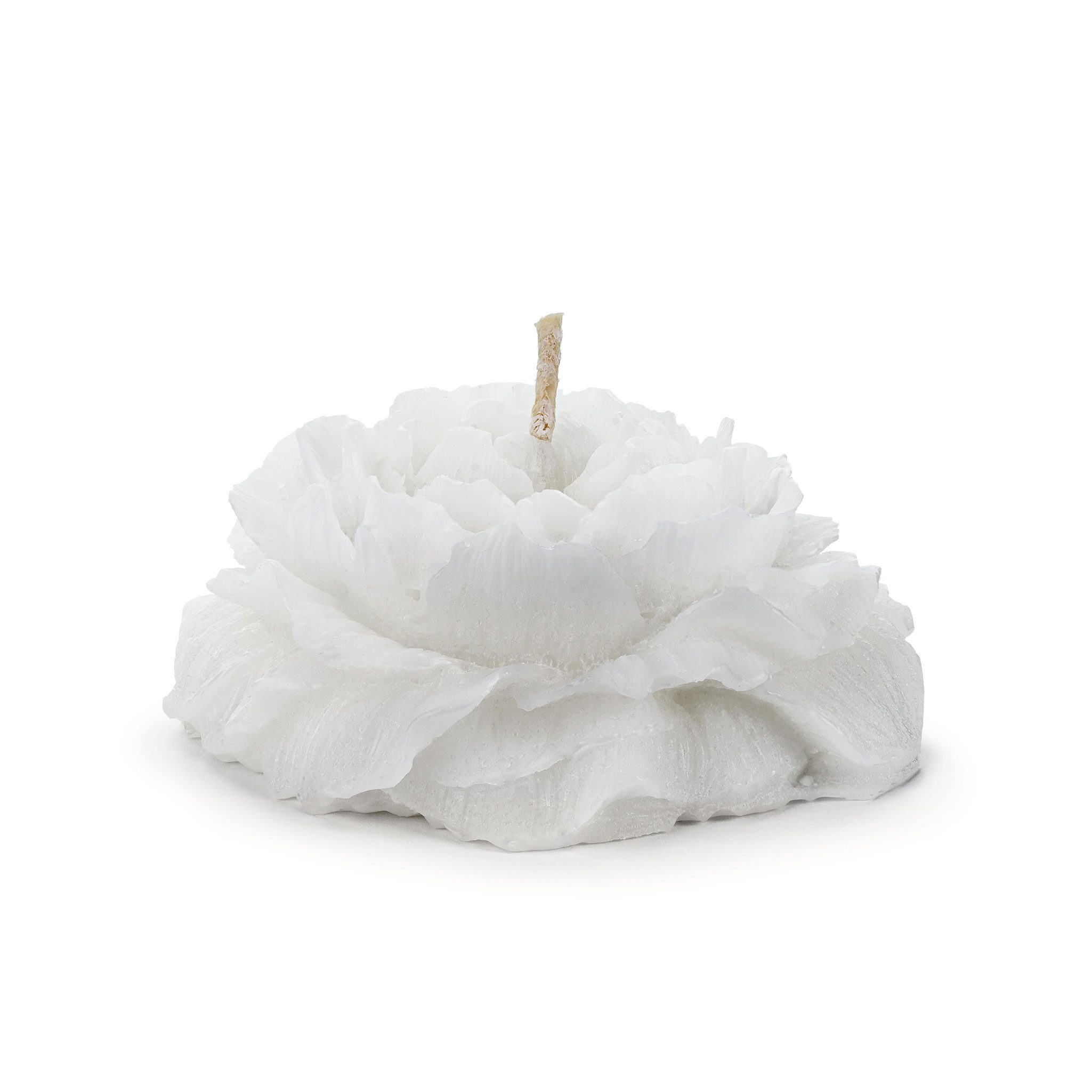 partydeco Schwimmkerze, Schwimmkerzen Pfingstrose Wachs 4x8cm günstig online kaufen