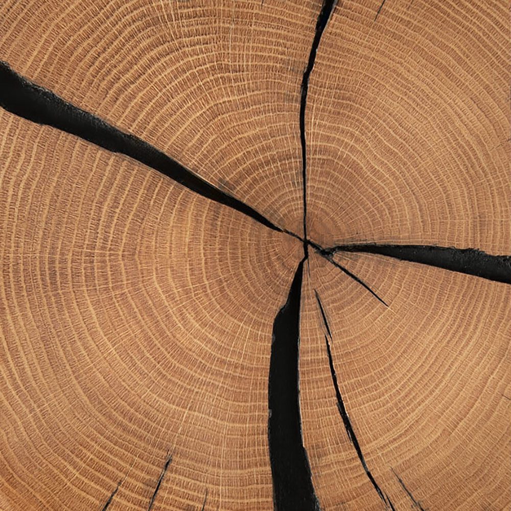 Lomadox Wandregal KIMBERLEY-69, Regal Hängeregal Wandboard modern in massiver geölter Wildeiche