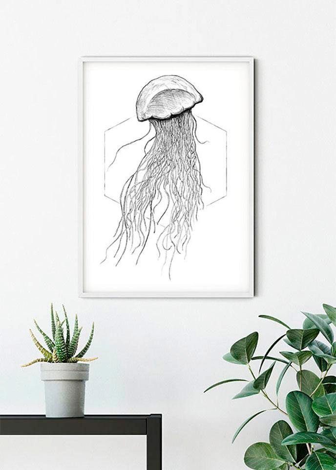 Komar Poster Jellyfish St), (1 Kinderzimmer, White, Tiere Wohnzimmer Schlafzimmer
