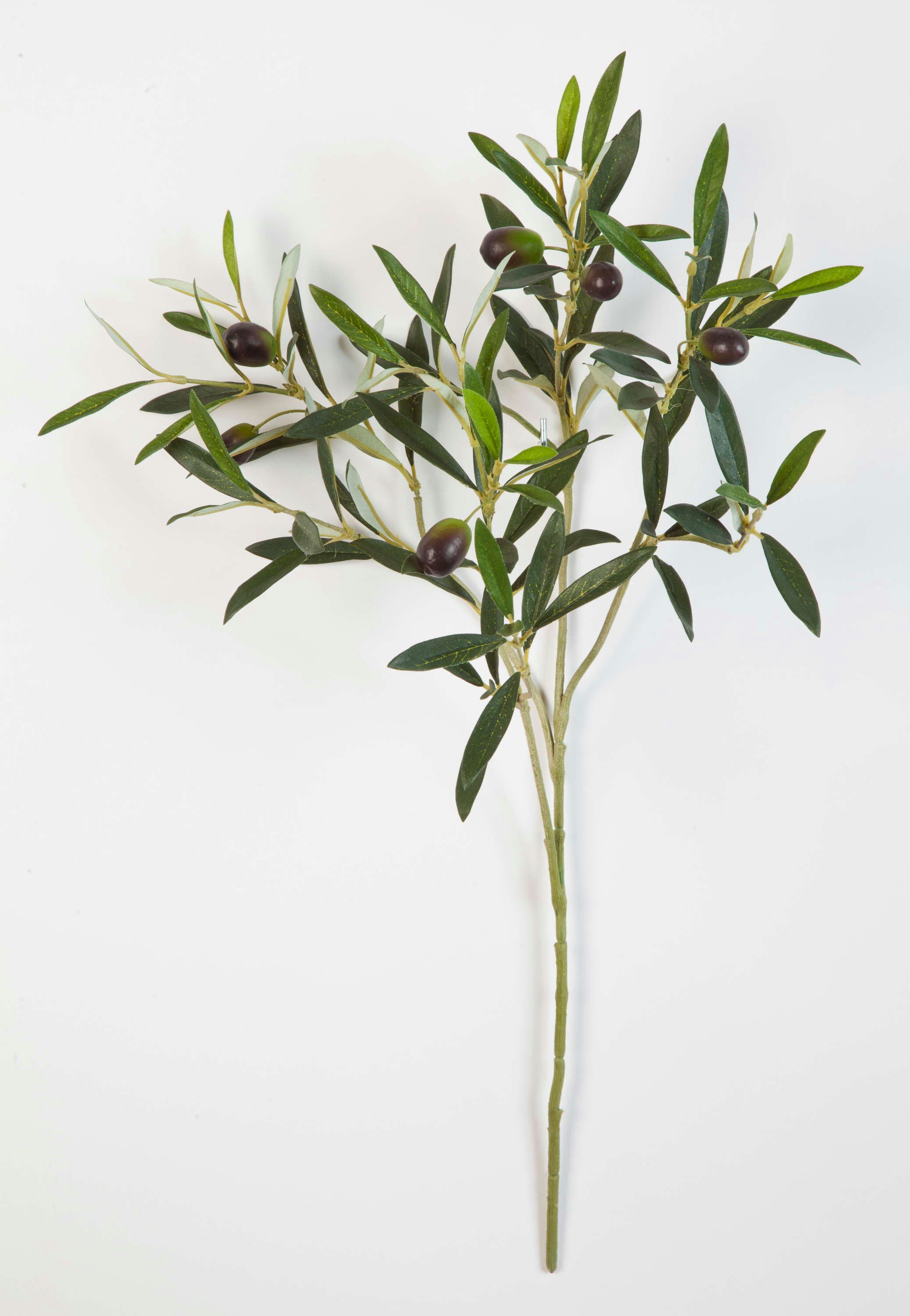 Kunstzweig Deko Olivenzweig, 105 Blätter, 6 Oliven, grün, 50cm Olivenbaum, artplants, Höhe 50.0 cm