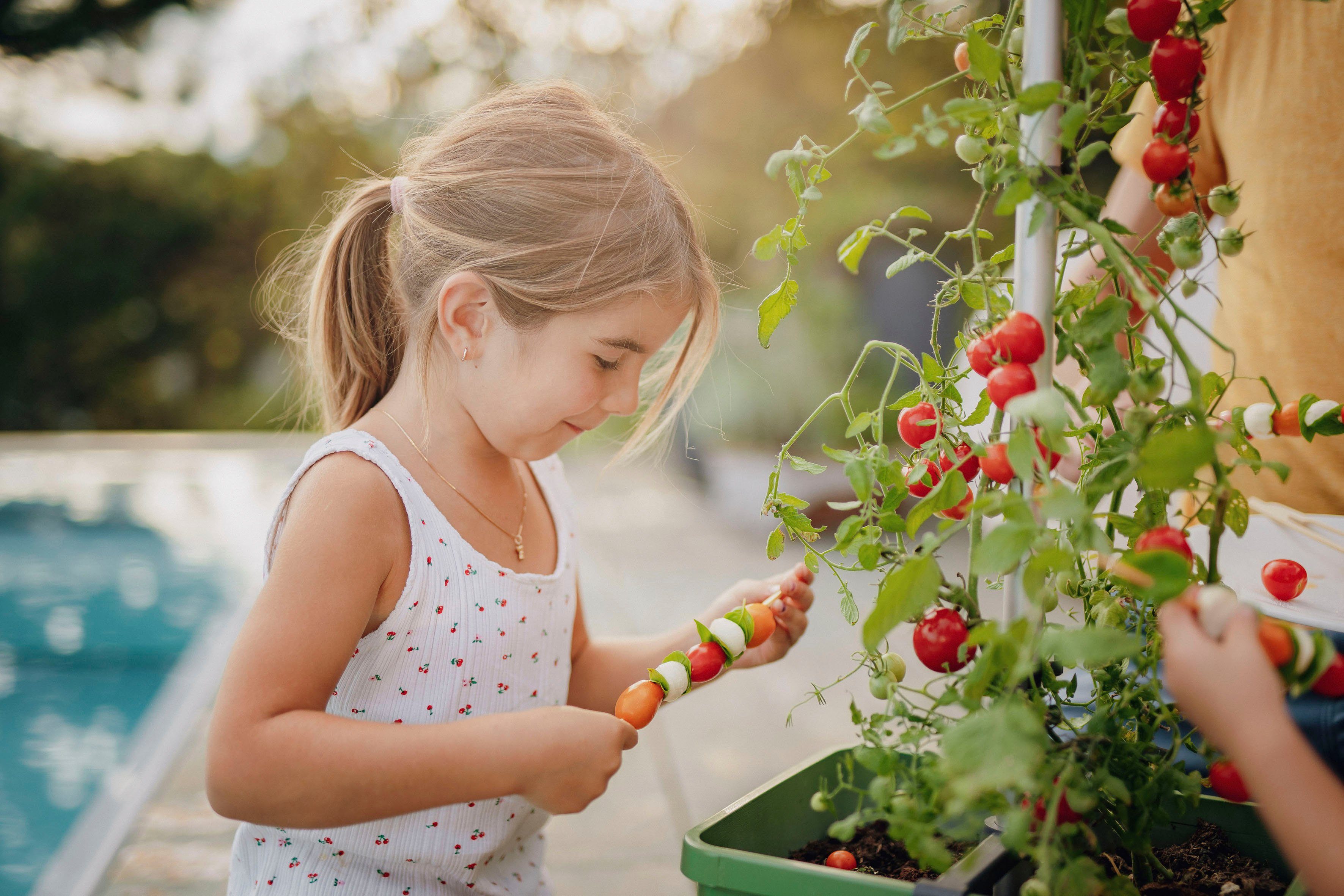 Gusta Garden Pflanzkübel TOM Tomatentopf, & dunkelgrün TOMATO Wassertank Rankhilfe mit