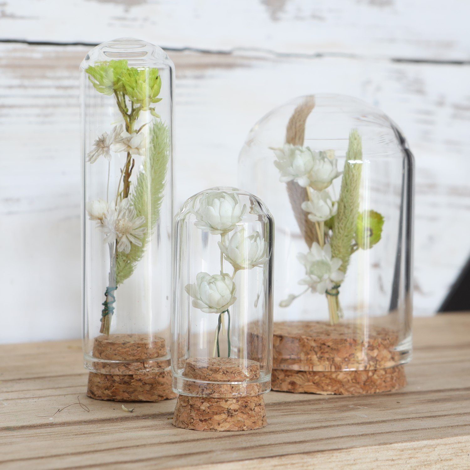 NaDeco Dekovase Glasdom Mini mit Korksockel günstig online kaufen