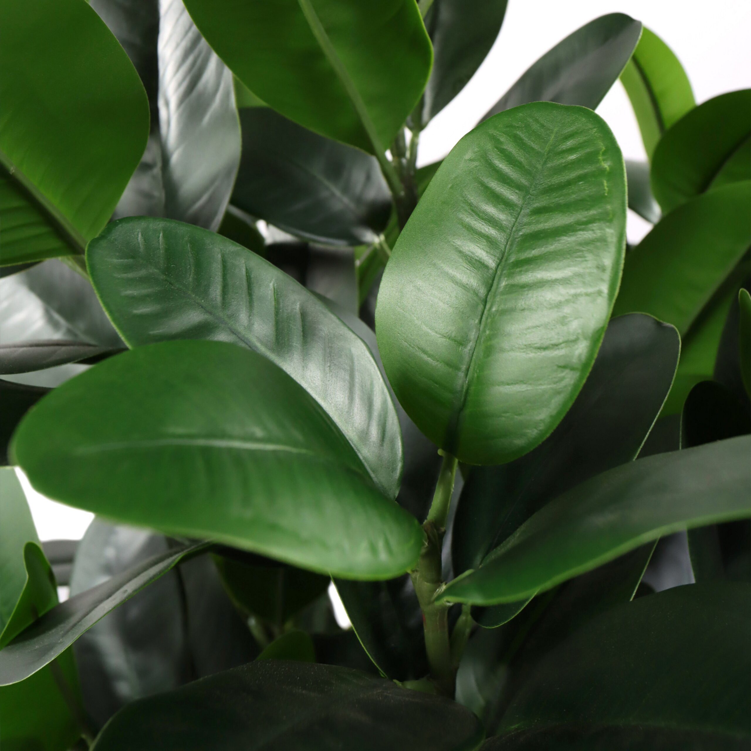 Kunstpflanze Garcinia Künstliche Pflanze im Topf Höhe 120.0 cm Mangostan, hjh OFFICE, Höhe 120.0 cm, Künstliche Pflanze Garcinia mangostana im Kunststoff-Topf