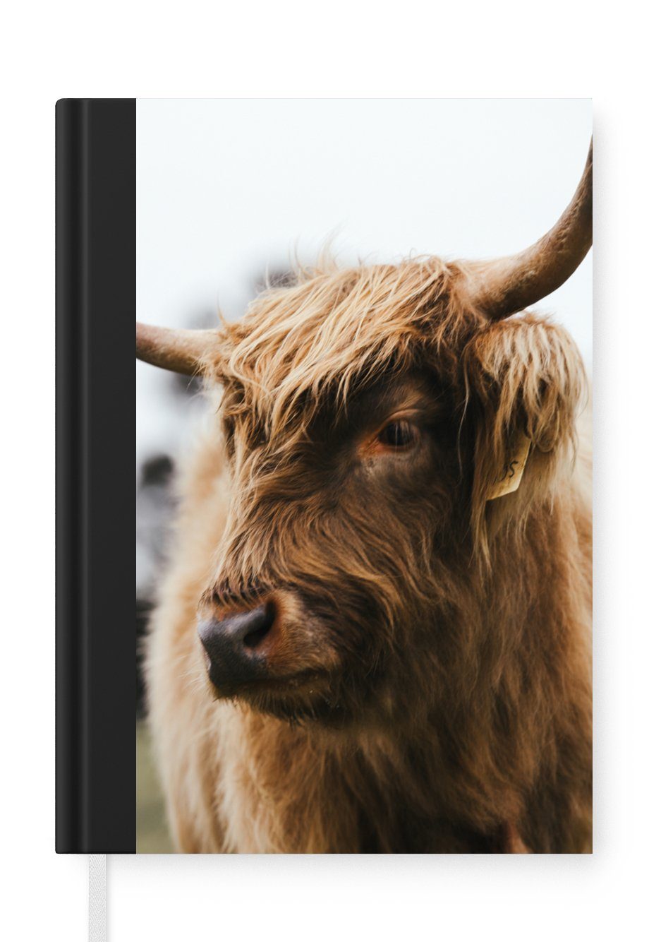 MuchoWow Notizbuch Schottischer Highlander - Tiere - Hörner, Journal, Merkzettel, Tagebuch, Notizheft, A5, 98 Seiten, Haushaltsbuch