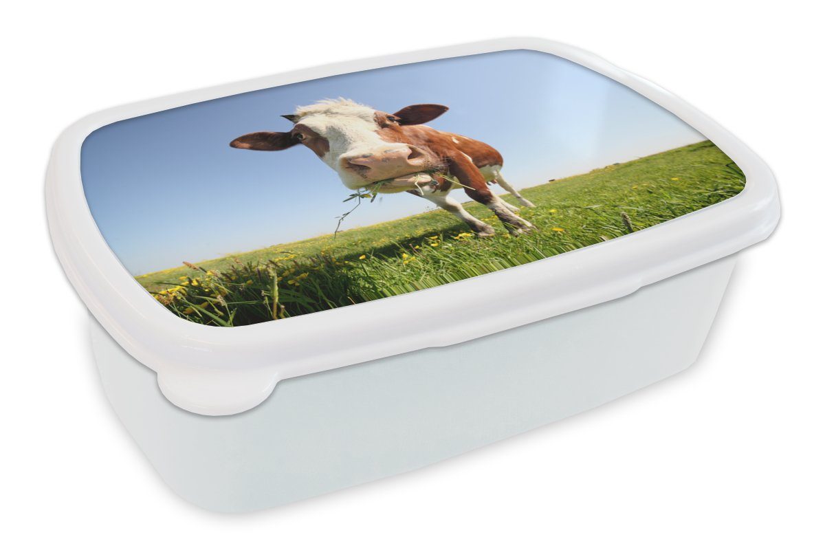 Top-Produktionsqualität MuchoWow Lunchbox Kuh - Tiere - Kinder Jungs für und Blumen für Mädchen Erwachsene, Brotbox Brotdose, (2-tlg), und weiß - Gras, Kunststoff