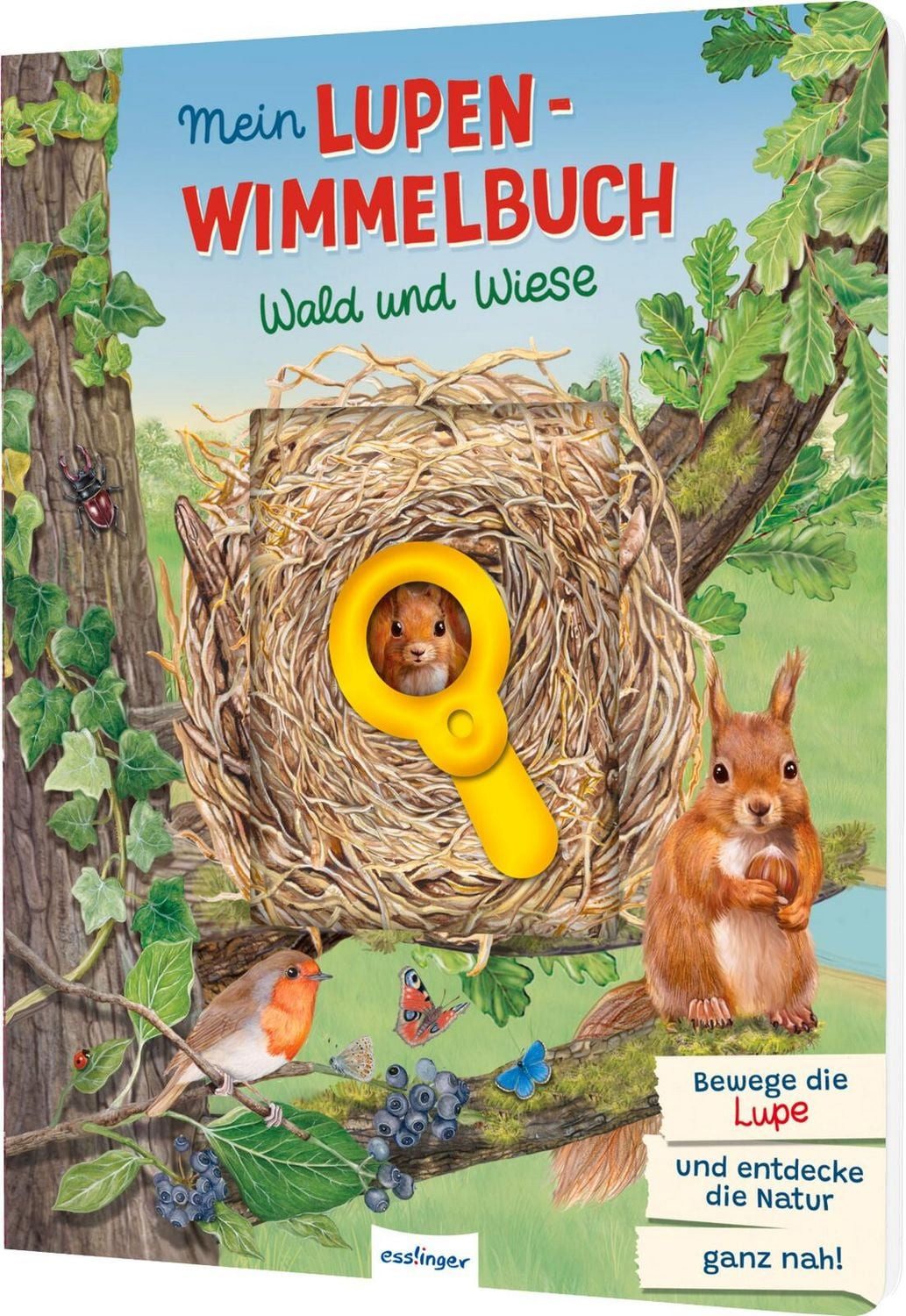 Mein Lupen-Wimmelbuch: Wald und Wiese / diverse