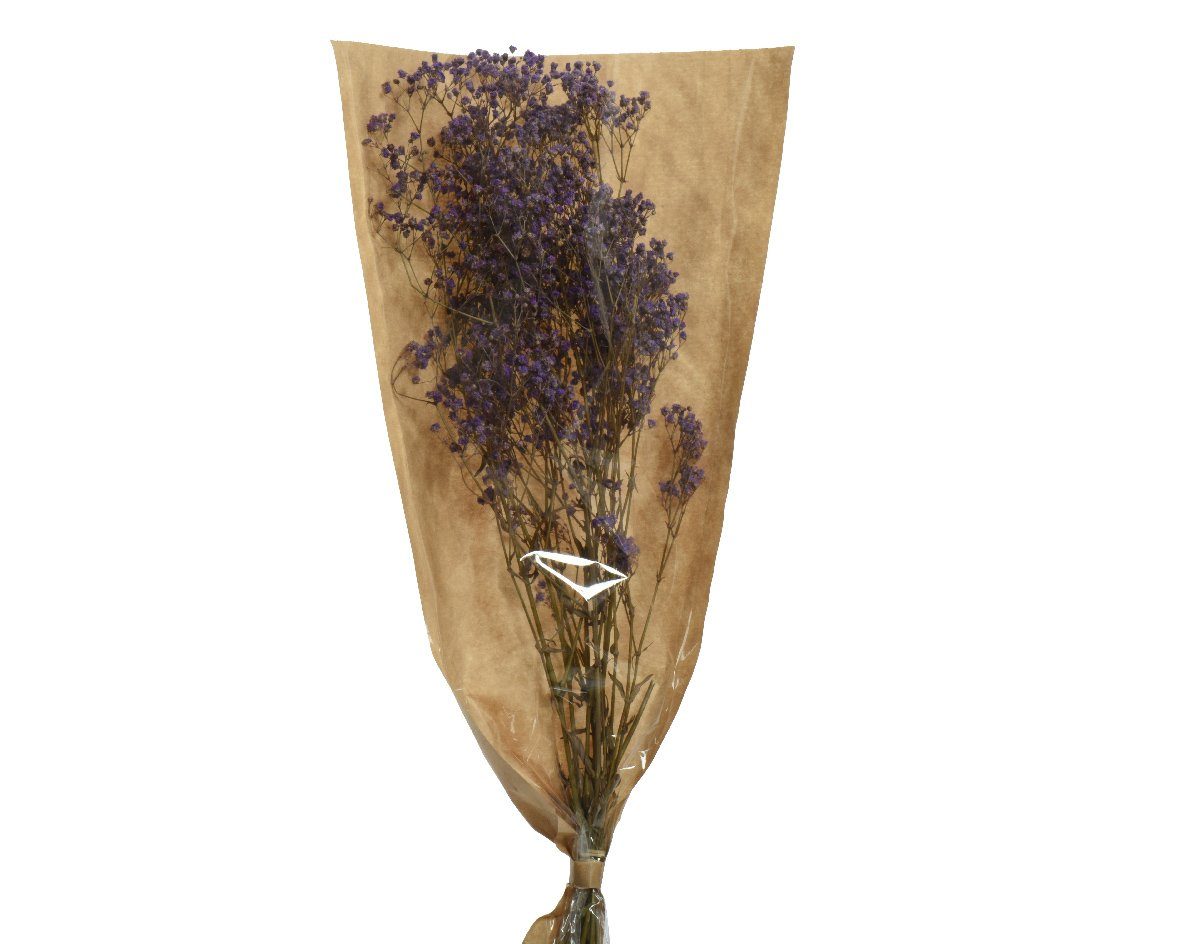Trockenblume, Decoris season decorations, Trockenblumen Strauß günstig online kaufen