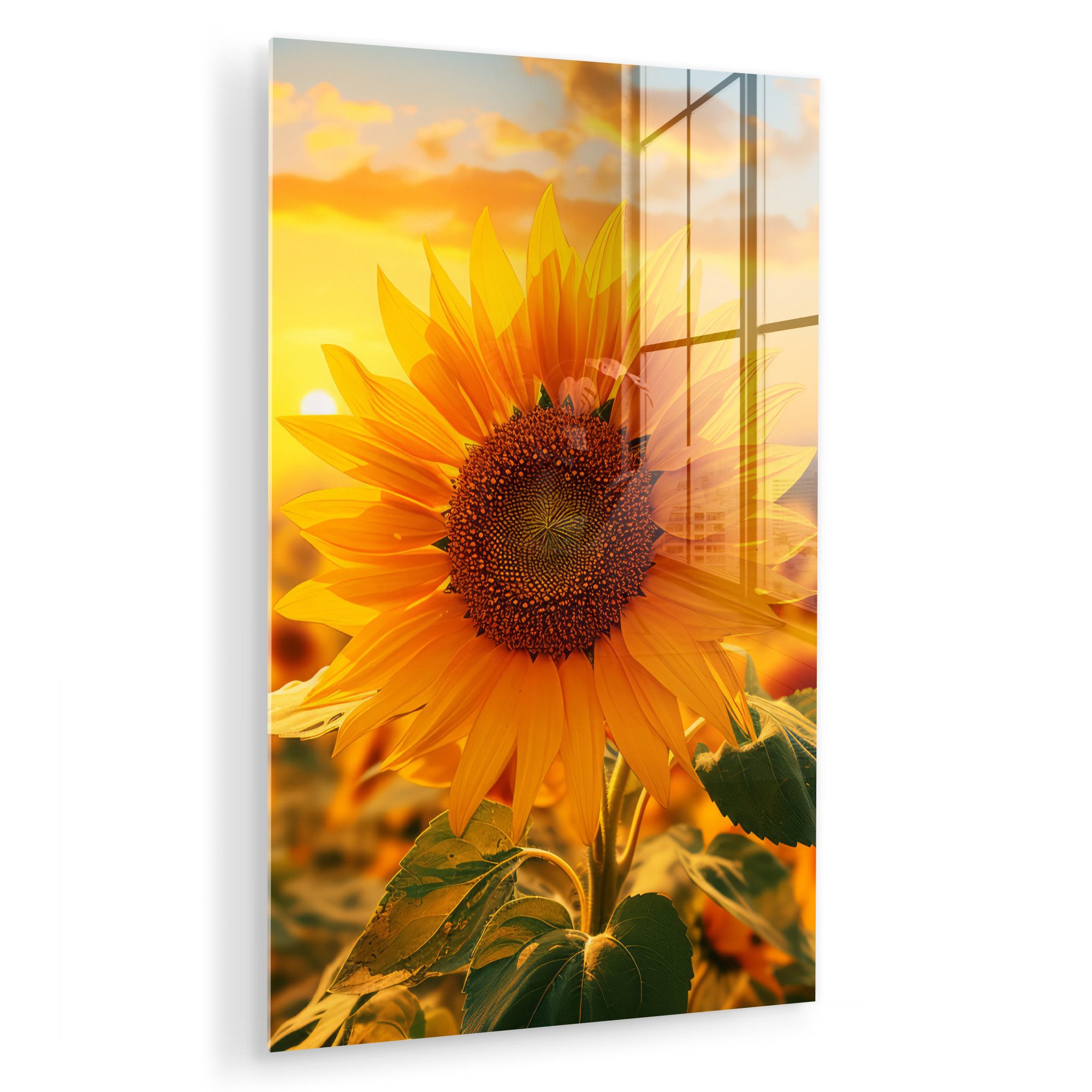 MuchoWow Acrylglasbild Sonnenblume - Blumen - günstig online kaufen
