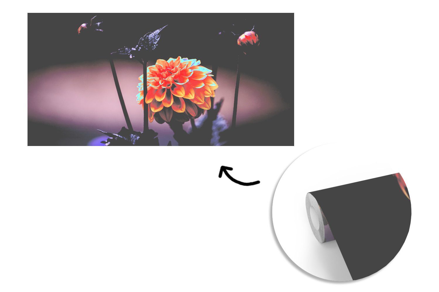 MuchoWow Fototapete Küche, Blumen - Wohnzimmer - (7 St), Chrysantheme bedruckt, Schlafzimmer für Vliestapete Fototapete Pflanzen, Makro - Matt