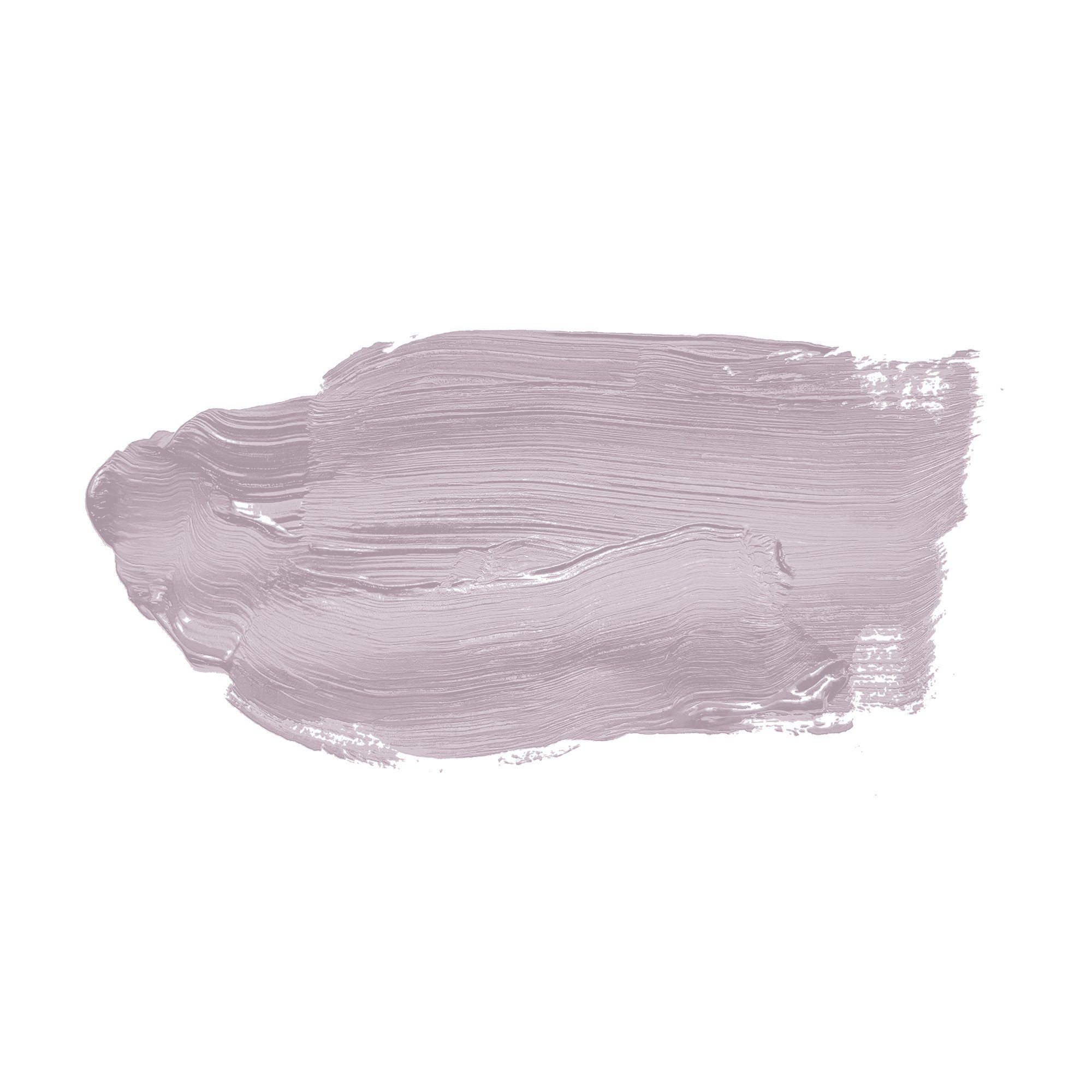 A.S. Création Wandfarbe, Wand- Innenfarbe Lavender Deckenfarbe 2,5l und Seidenmatt 2004 Leafy