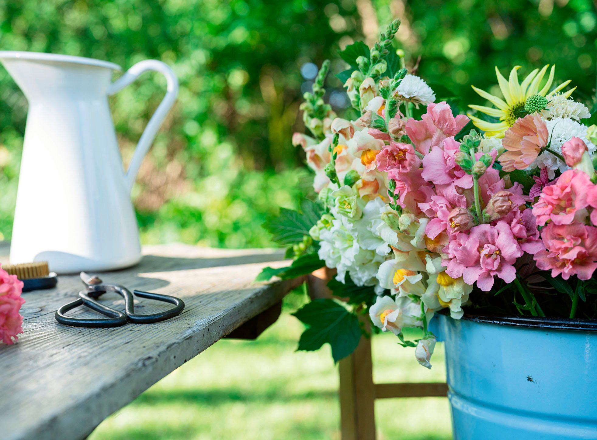 Ravensburger Puzzle Sommerbunte Löwenmäulchen, 500 Puzzleteile, Made in Germany