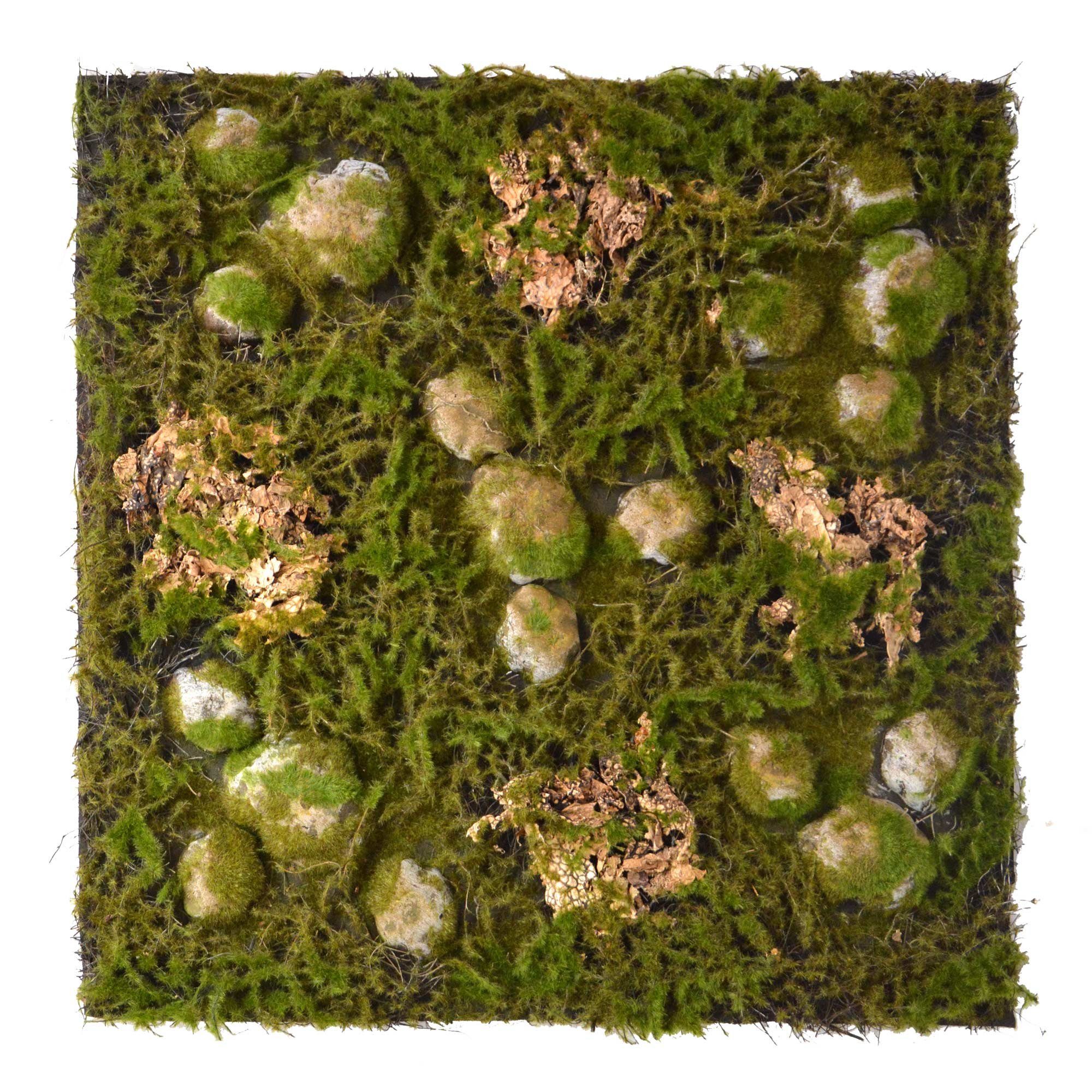 Terrarium Terrarium Rückwände für 60x60cm Terrarien