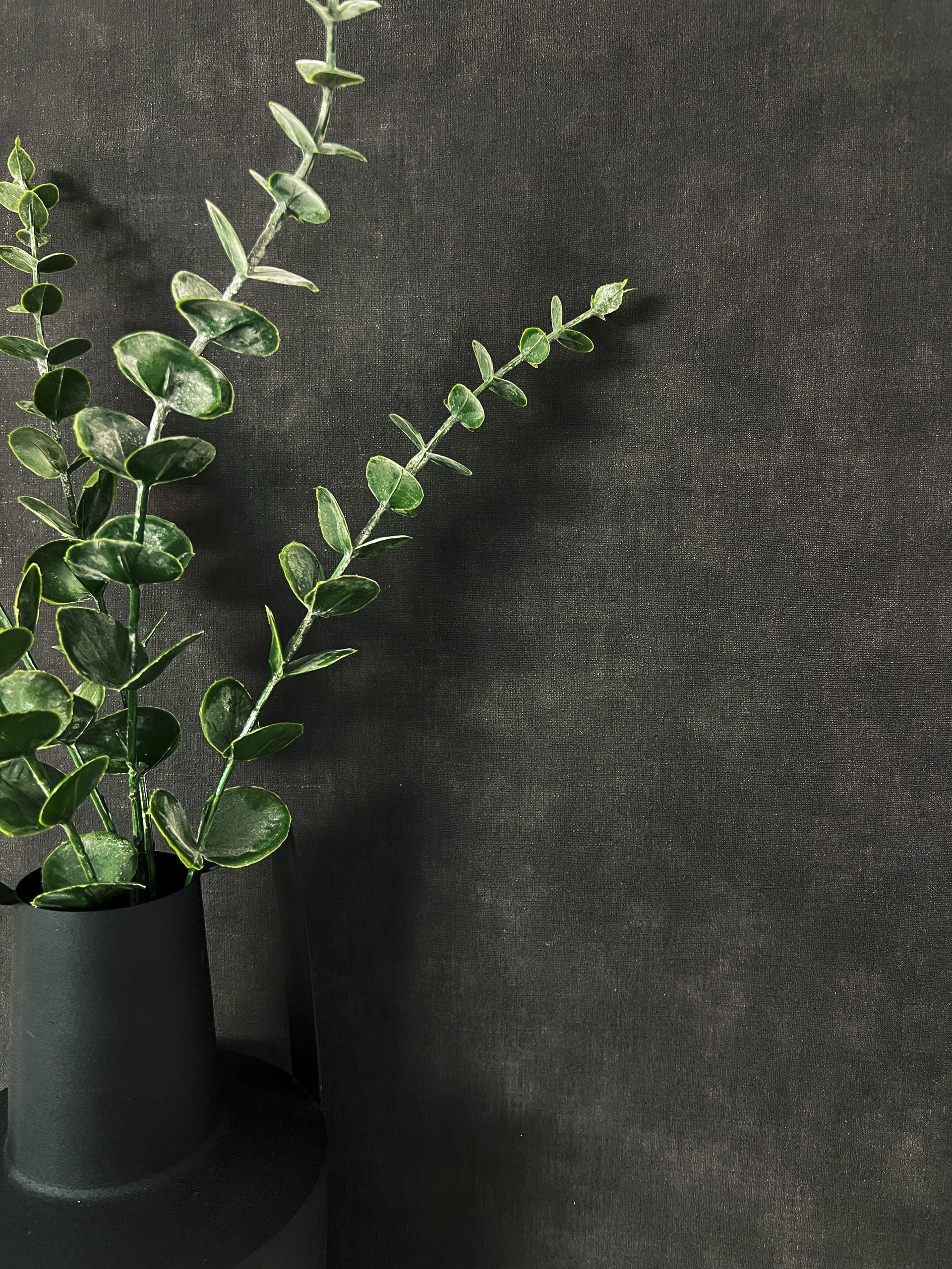 Newroom Vliestapete, Schwarz Tapete Modern Unifarbe günstig online kaufen