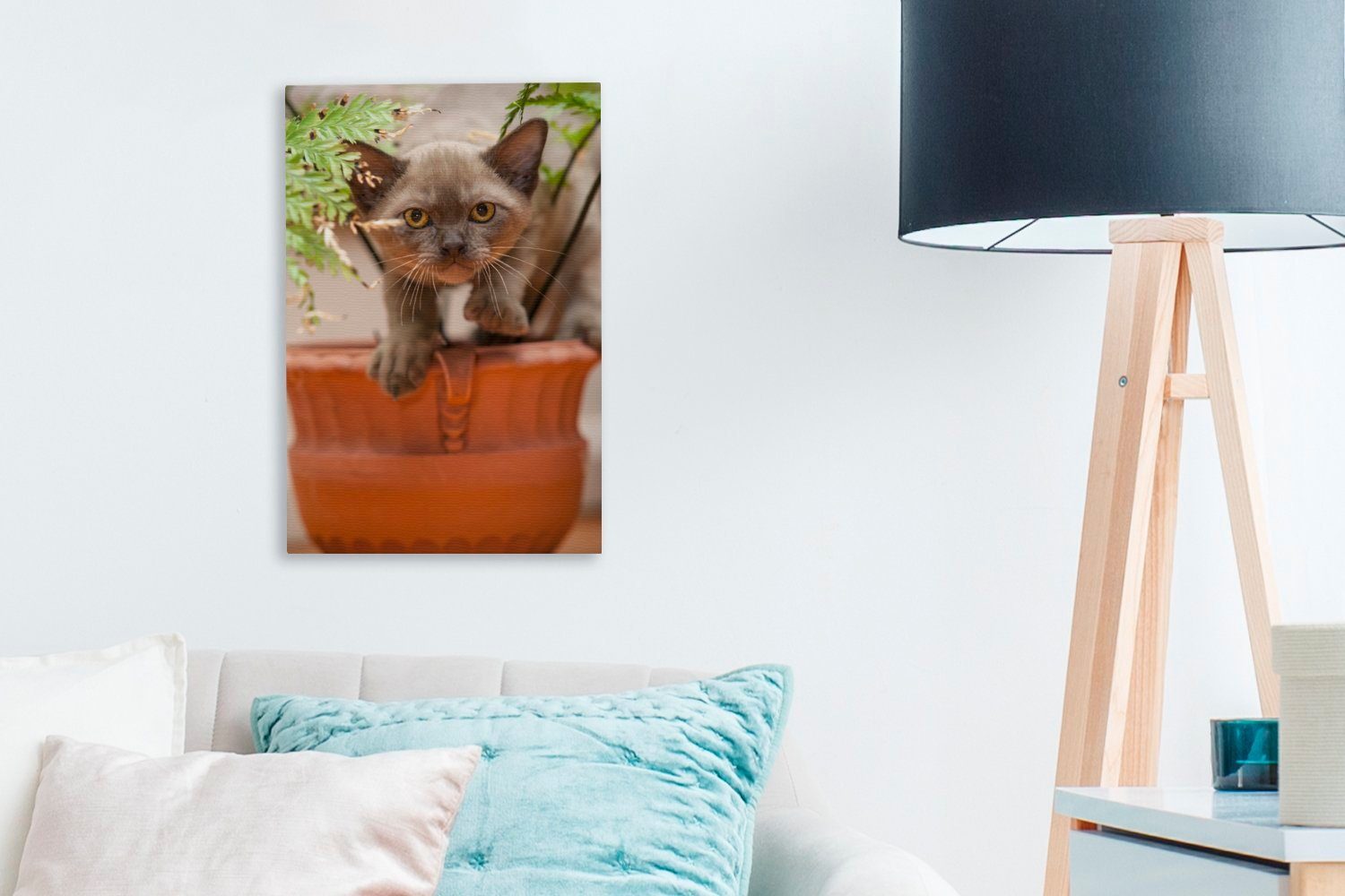 Leinwandbild OneMillionCanvasses® St), inmitten birmanisches sitzt 20x30 Zackenaufhänger, bespannt Ein Kätzchen fertig Gemälde, (1 junges inkl. Leinwandbild cm der Pflanzen,