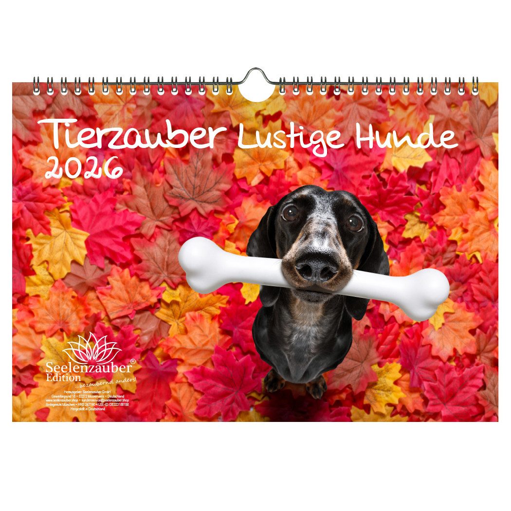 Seelenzauber Wandkalender Tierzauber Lustige Hunde DIN A4 Kalender für 2026 Welpen