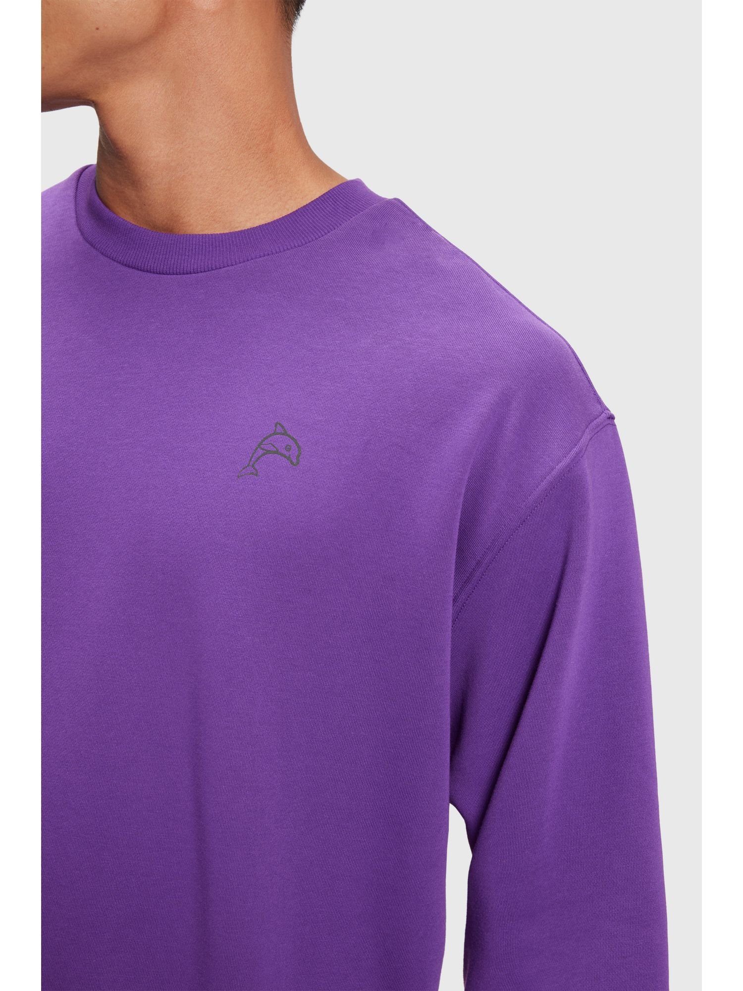 Esprit Sweatshirt Color Dolphin Sweatshirt PURPLE BERRY (1-tlg)