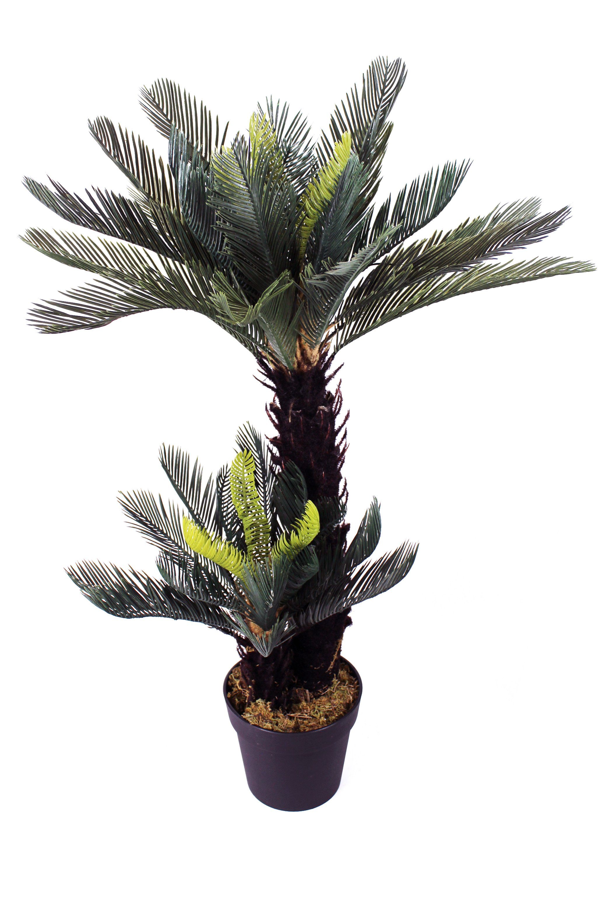 Kunstpalme künstliche Cycas Palme mit 41 Palmenwedel Kunstpflanze Cycas Palme, Arnusa, Höhe 100 cm, fertig im Topf wie echt