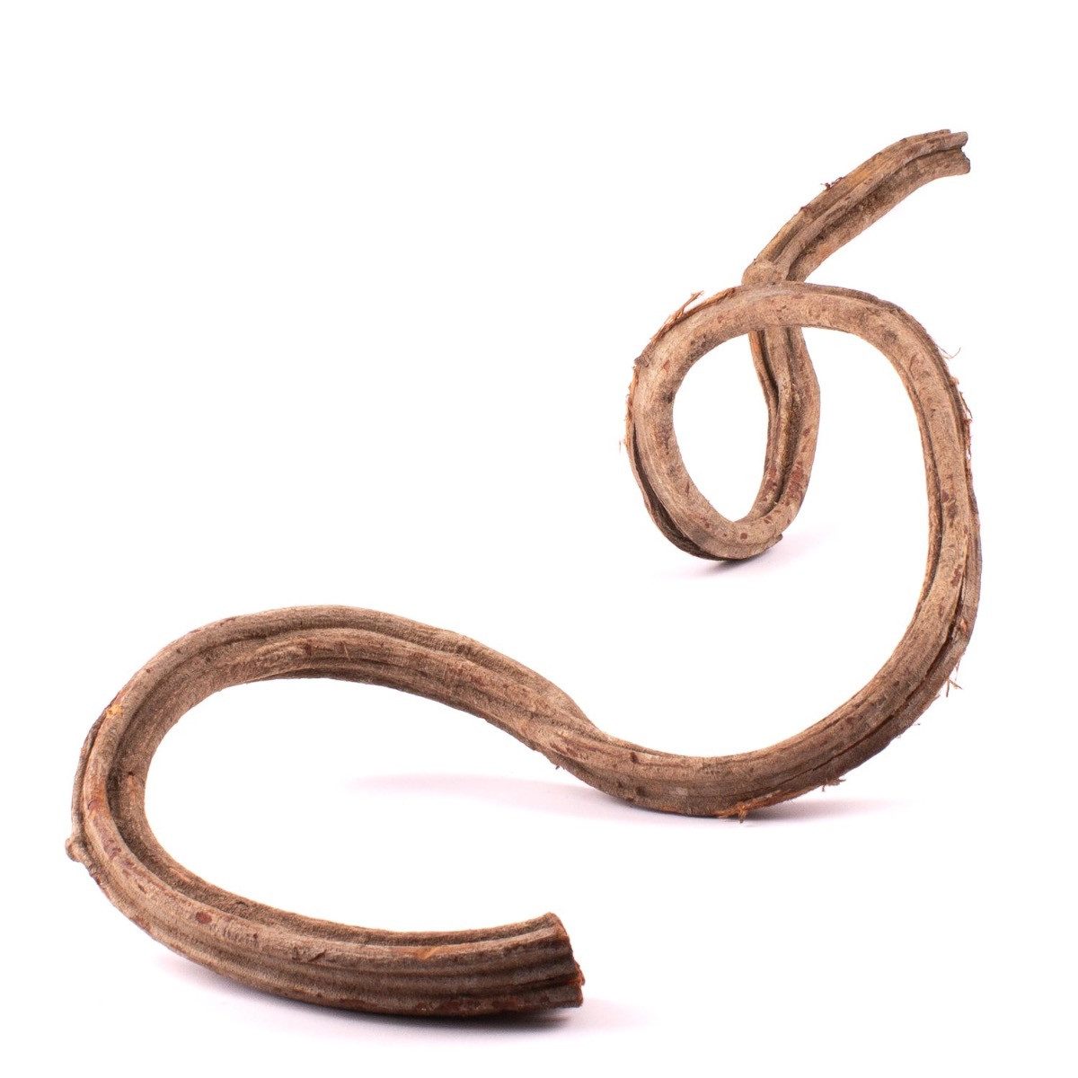 Trockenblume Trockengirlande Cipo Rosca Tangun, Natur, 100-120cm, INNA-Glas, Höhe 120.0 cm