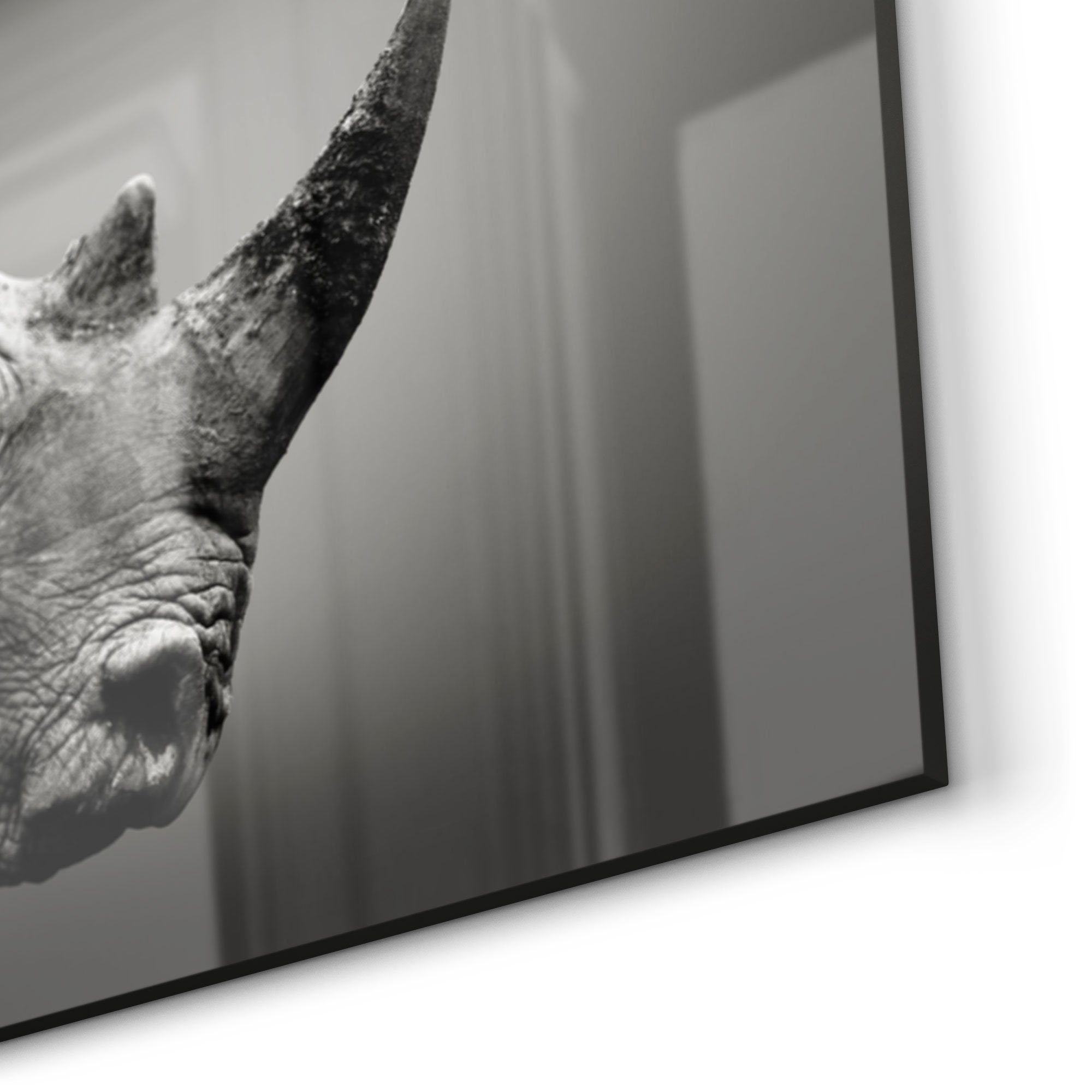 Profil', Badrückwand 'Nashorn im DEQORI Herdblende Küchenrückwand Glas Spritzschutz