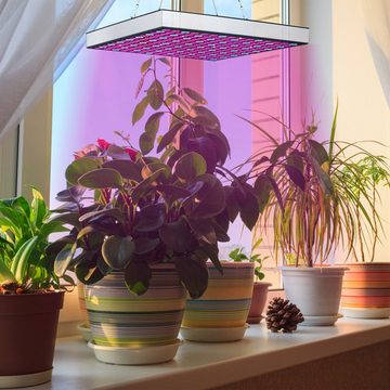 Bettizia Pflanzenlampe LED Pflanzenlampe 15W Grow Lampe Vollspektrum 225 Rot & Blau, Veg Flower, Grow Tent und Greenhouse