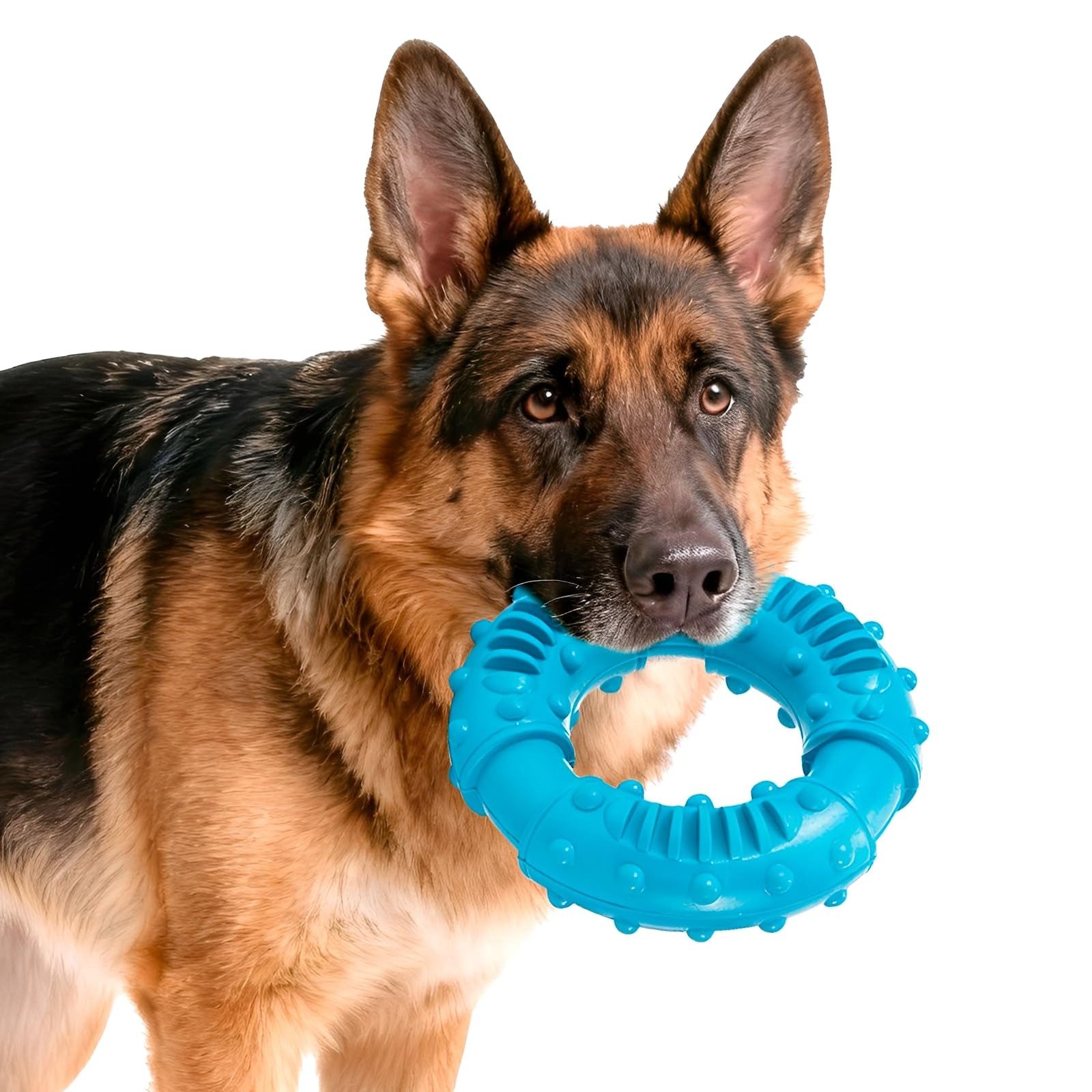Ledander Kauspielzeug Hundespielzeug Ring, Gummi (1-tlg), Kauspielzeug 13 x 4 cm Kauring, Spielerische Zahnpflege Ring Spielzeug Für Kleine,Mittlere&Große Hunde
