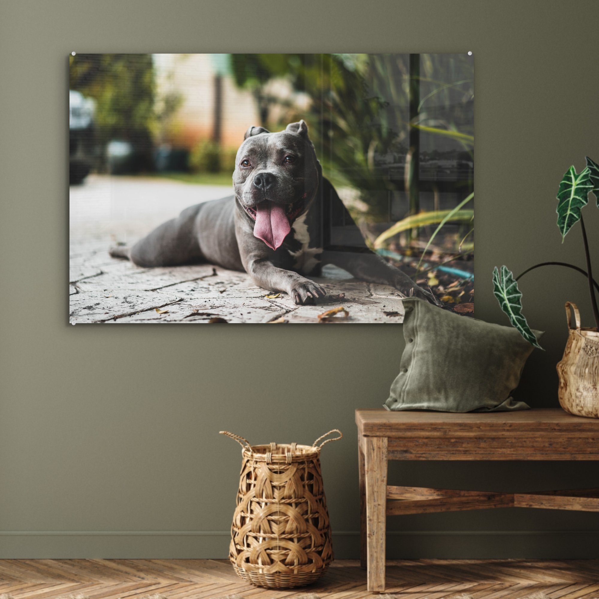 MuchoWow Acrylglasbild Hund - (1 Zunge Wohnzimmer Acrylglasbilder St), Steine, Schlafzimmer & 