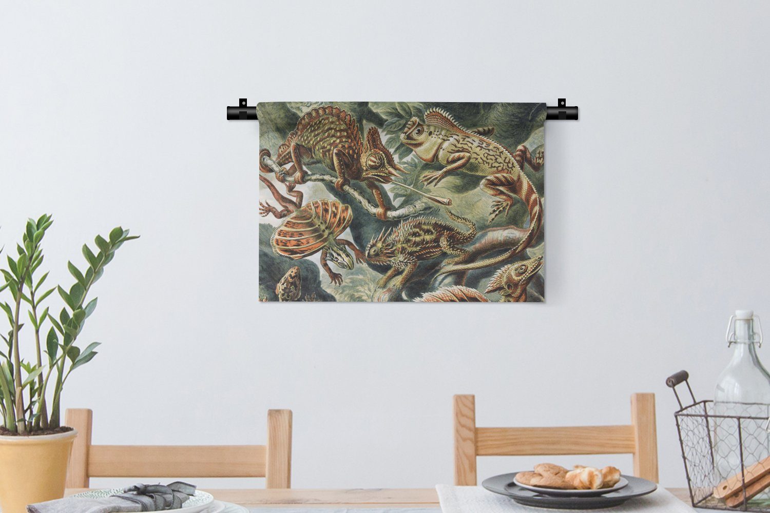 MuchoWow Wanddekoobjekt Jahrgang - Kinderzimmer Wandbehang, Salamander Haeckel - Kleid, - Wohnzimmer, Kunst - Wanddeko Tiere, Schlafzimmer, für Ernst
