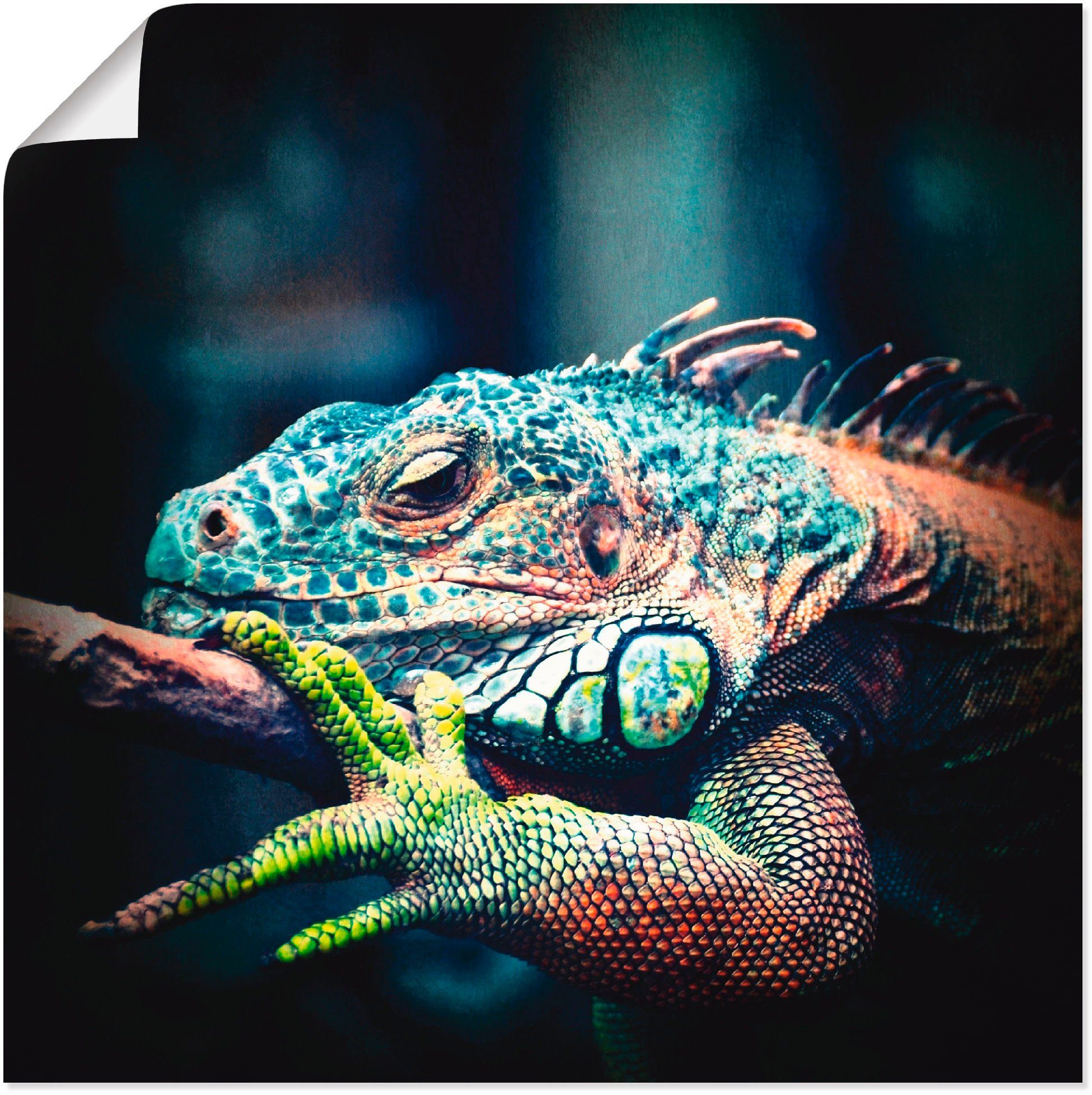 Artland Poster Leguan, Reptilien (1 St), ohne Rahmen