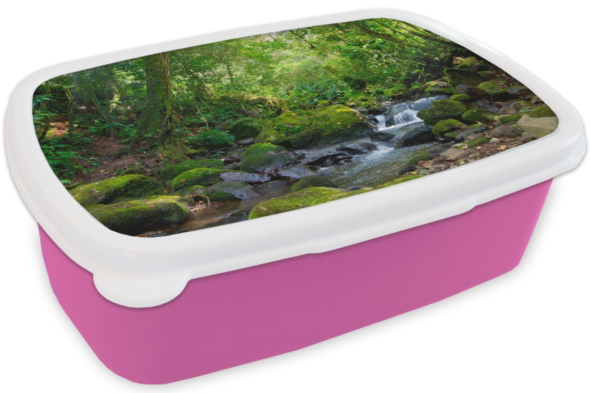 rosa Rainforest Brotdose Kinder, Snackbox, (2-tlg), Mädchen, Kunststoff Creek, Brotbox Erwachsene, Kunststoff, für MuchoWow Lunchbox