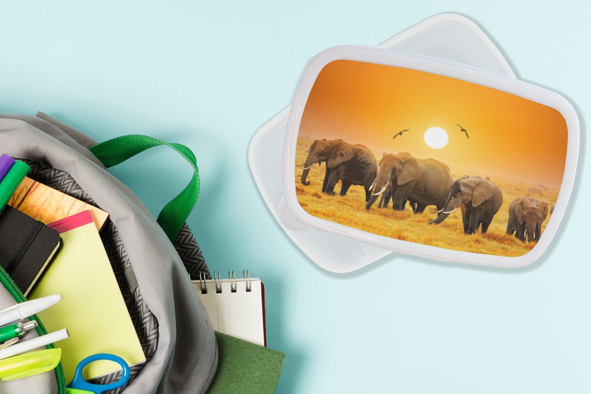 MuchoWow Lunchbox Elefant - Jungs Mädchen Kinder Brotdose, Vogel - Erwachsene, und weiß für Orange, Kunststoff, und für (2-tlg), Brotbox