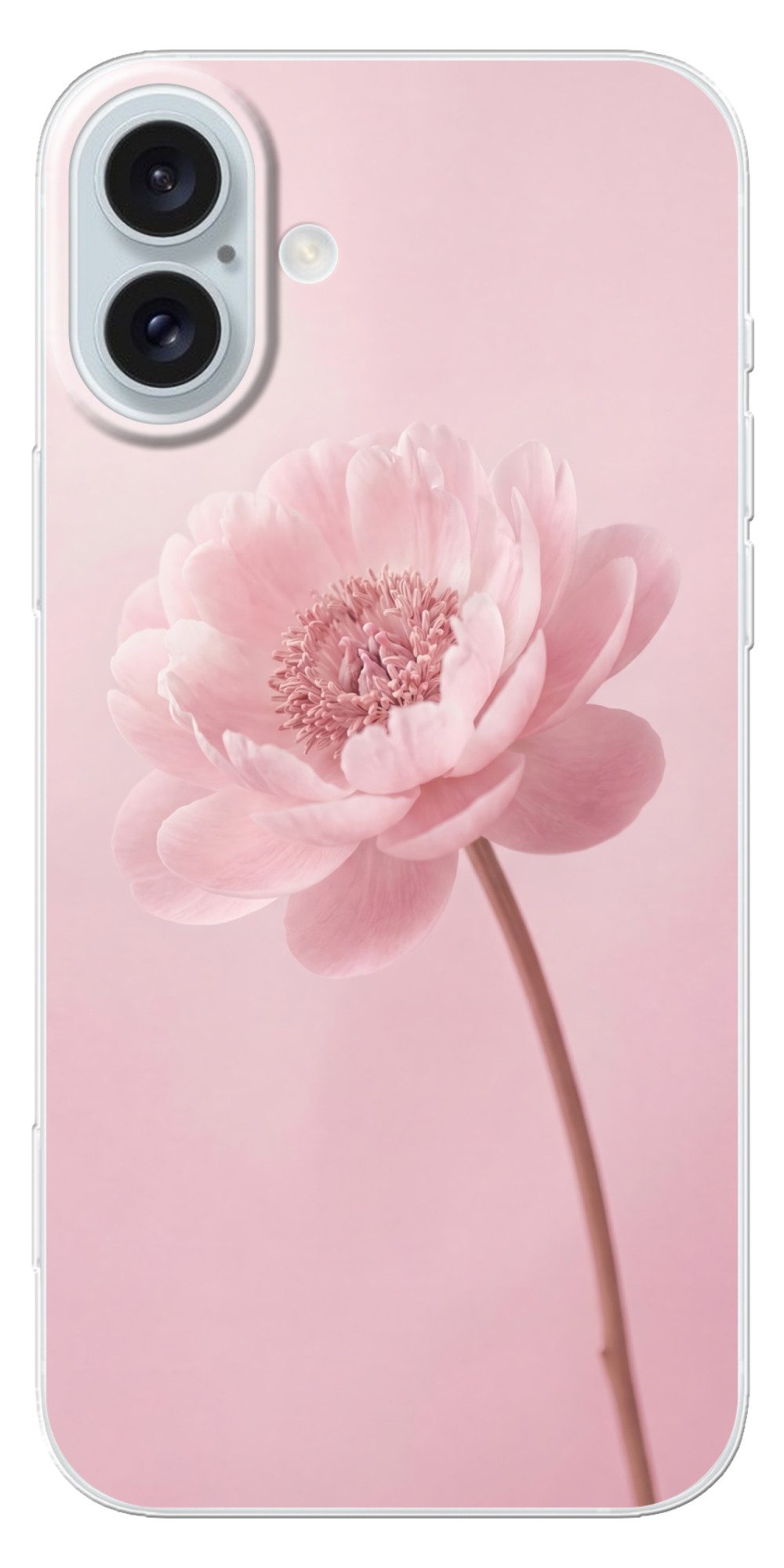 MuchoWow Handyhülle für Apple iPhone 16 Plus Blume - Pfingstrose - Rosa, Smartphone-Bumper, Print, Handy Schutzhülle Dünn