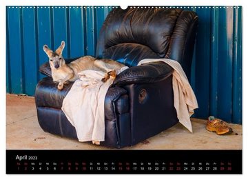 CALVENDO Wandkalender Australien - Der Westen (Premium, hochwertiger DIN A2 Wandkalender 2023, Kunstdruck in Hochglanz)