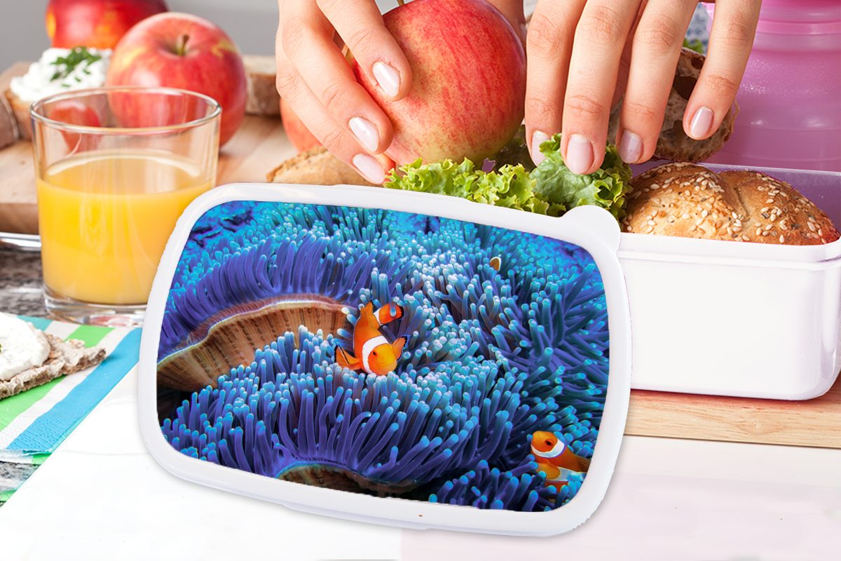 Dreibandige Brotdose, schwimmen durch blaue Anemonenfische weiß für Kinder Mädchen Brotbox Erwachsene, Kunststoff, (2-tlg), und Lunchbox für Jungs MuchoWow und Korallen,
