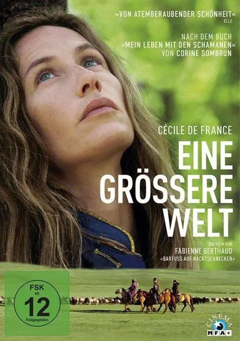 DVD Eine größere Welt