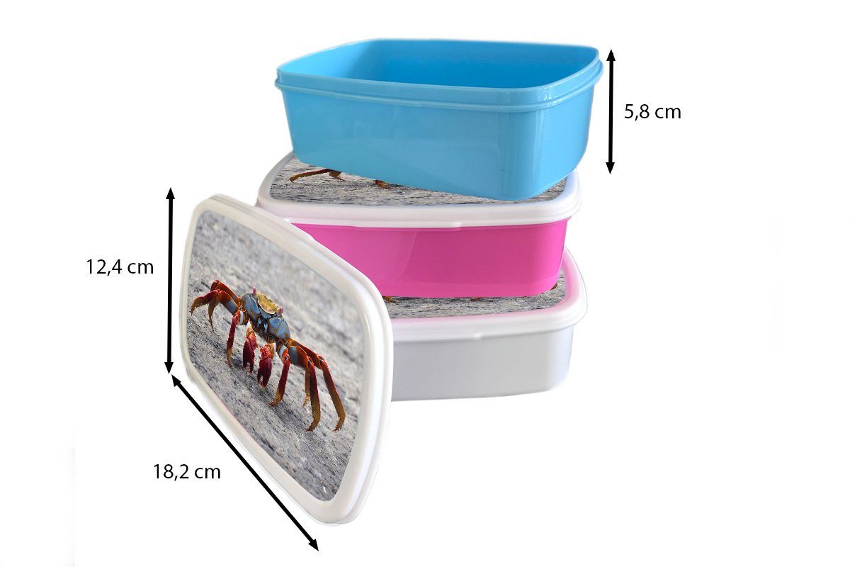 - Brotbox Brotdose, und Jungs Krabbe, für Erwachsene, MuchoWow Strand - weiß (2-tlg), Kunststoff, Tiere Lunchbox Kinder und Mädchen für