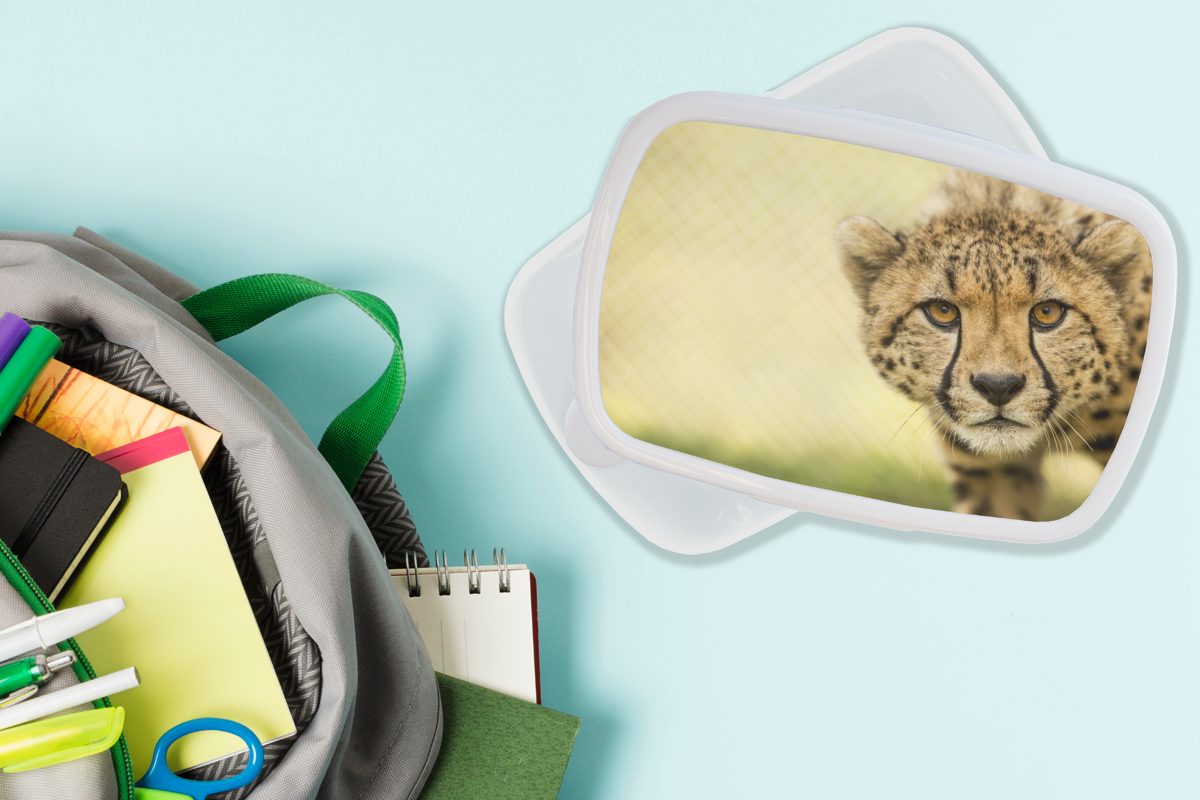 MuchoWow Lunchbox Leopard Jungs Tier, und Erwachsene, Gepard Kunststoff, für Brotdose, (2-tlg), für Kinder weiß und - - Mädchen Brotbox
