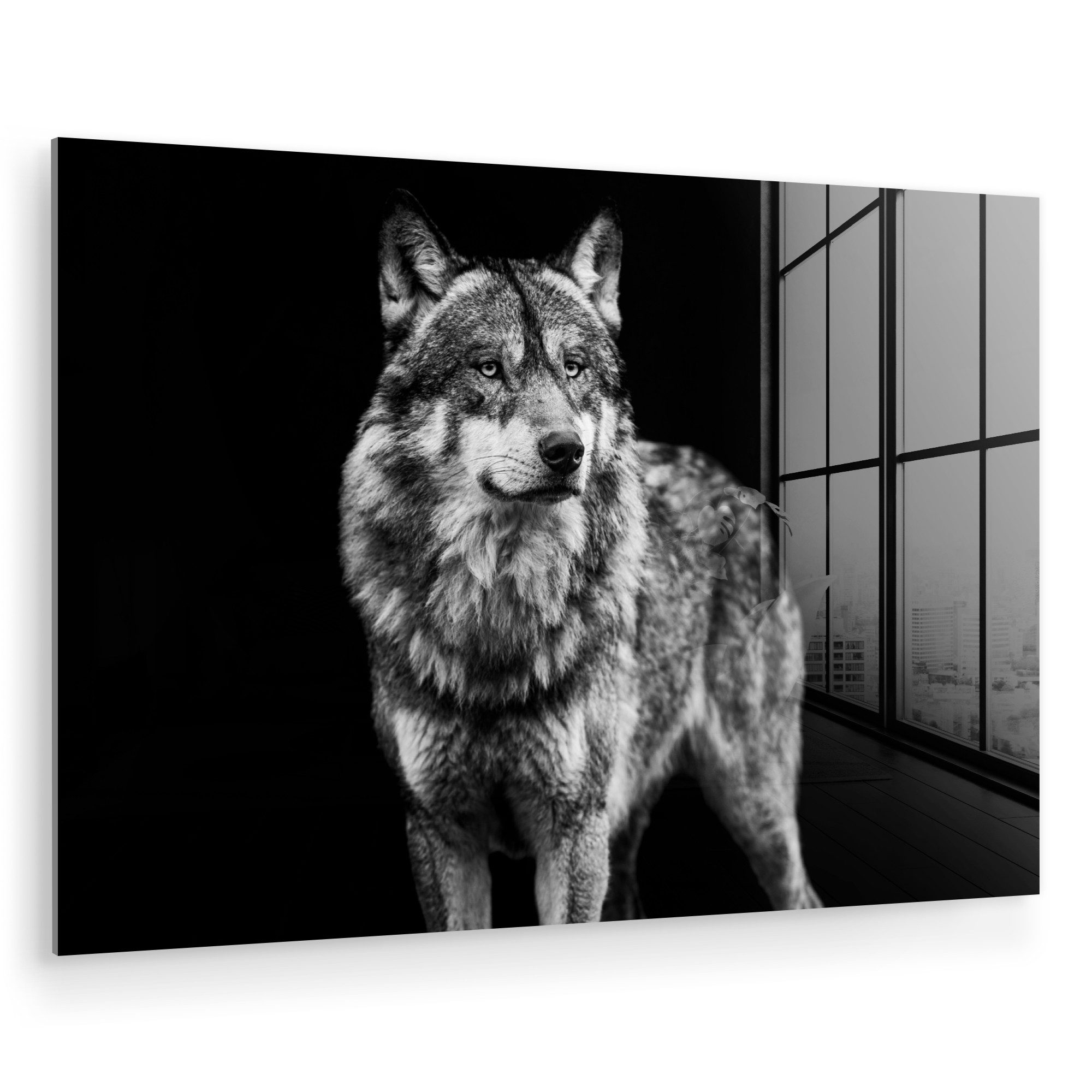 MuchoWow Acrylglasbild Wolf - Tiere - günstig online kaufen
