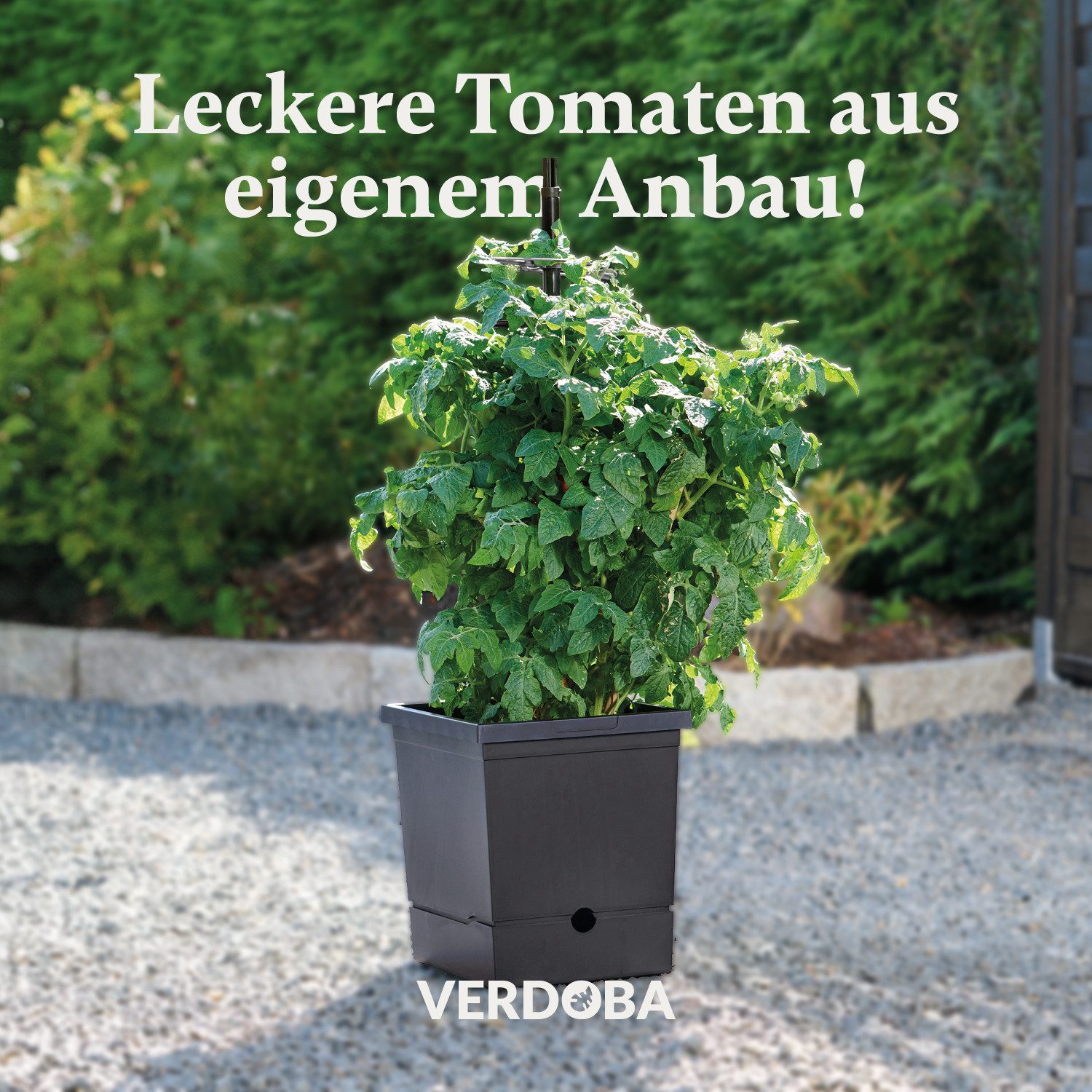 VERDOBA Pflanzkübel Nachhaltiger Tomatentopf Tomaten Anzuchtset günstig online kaufen
