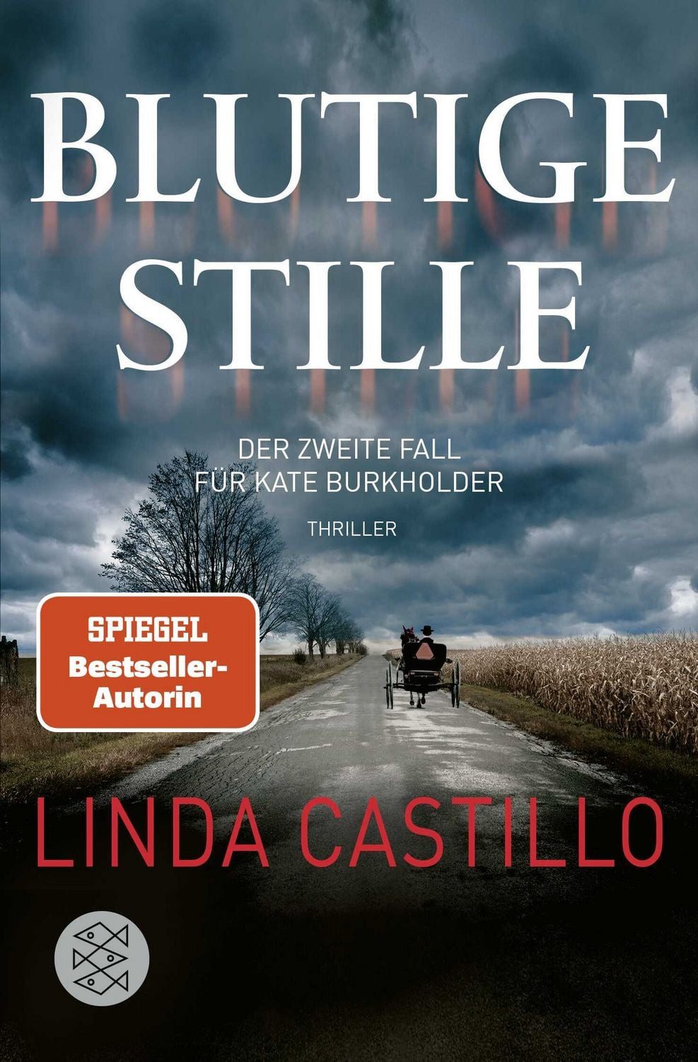 Blutige Stille / Kate Burkholder Band 2 / Linda Castillo, Thriller, Spannender Thriller bei den Amischen