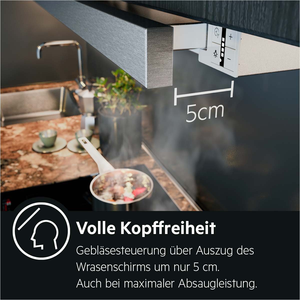 AEG Flachschirmhaube DPS5650AM 942022603 DPS5650AM 942022603, mit Abluft- und Umluftbetrieb, mit LED-Leuchtstreifen