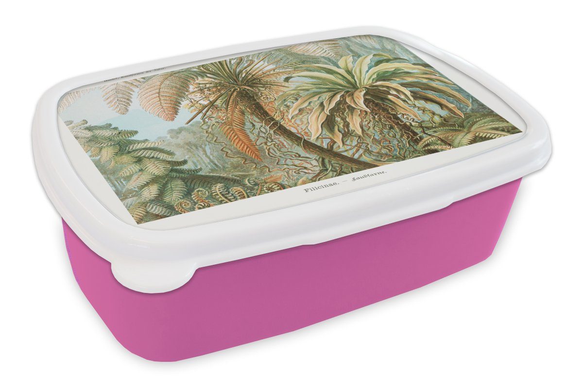 MuchoWow Lunchbox Vintage - Alte Meister - Farne - Pflanzen - Natur, Kunststoff, (2-tlg), Brotbox für Erwachsene, Brotdose Kinder, Snackbox, Mädchen, Kunststoff rosa